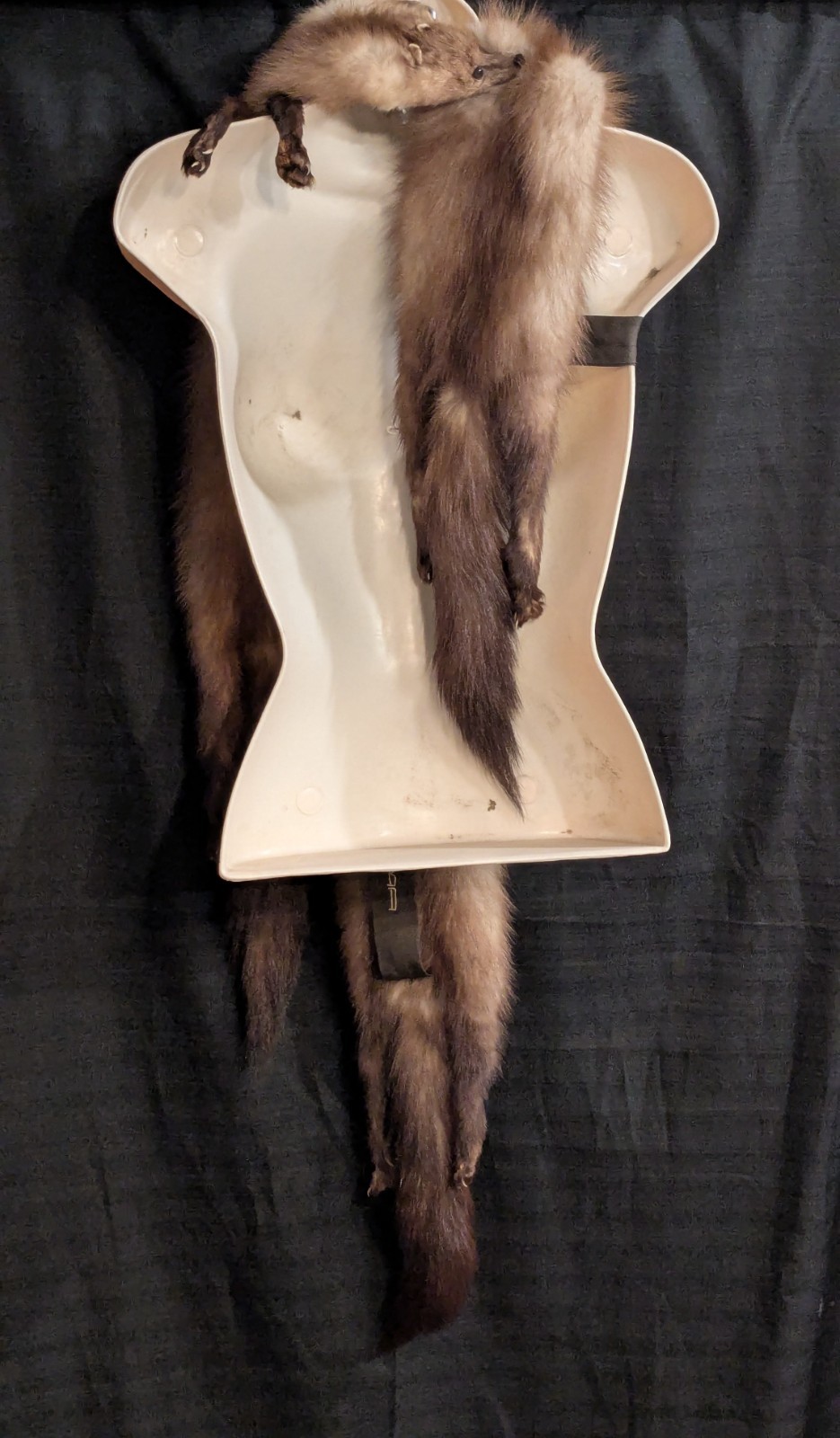 Fabulous VTG Collectible MINK SABLE FUR 3 FULL BODY PELTS Stole WRAP #2