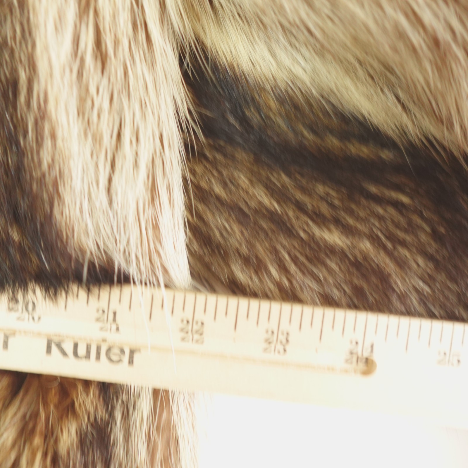 Vintage RM Taylor Co Genuine Raccoon Fur Coat Brown Full Length Women Swing Coat