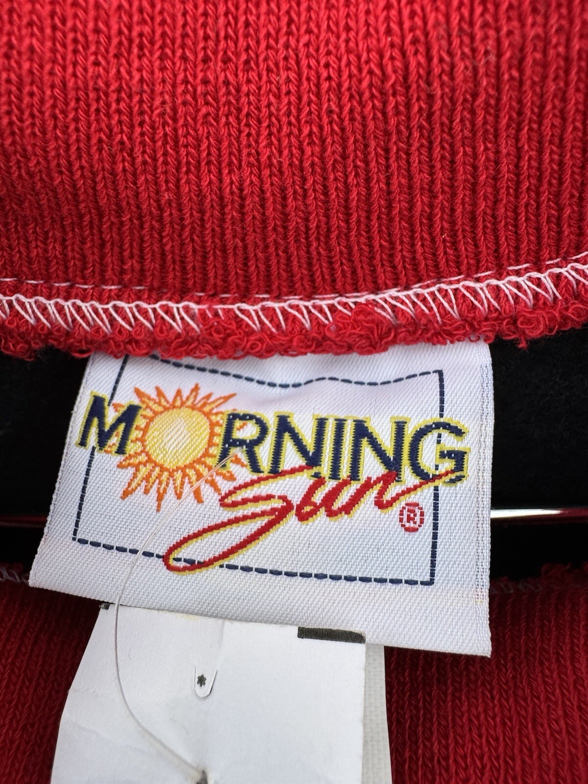 Vintage Kitten Puppy Dogs Cats Sweatshirt 80s 90s Apple Harvest Grannycore Fall