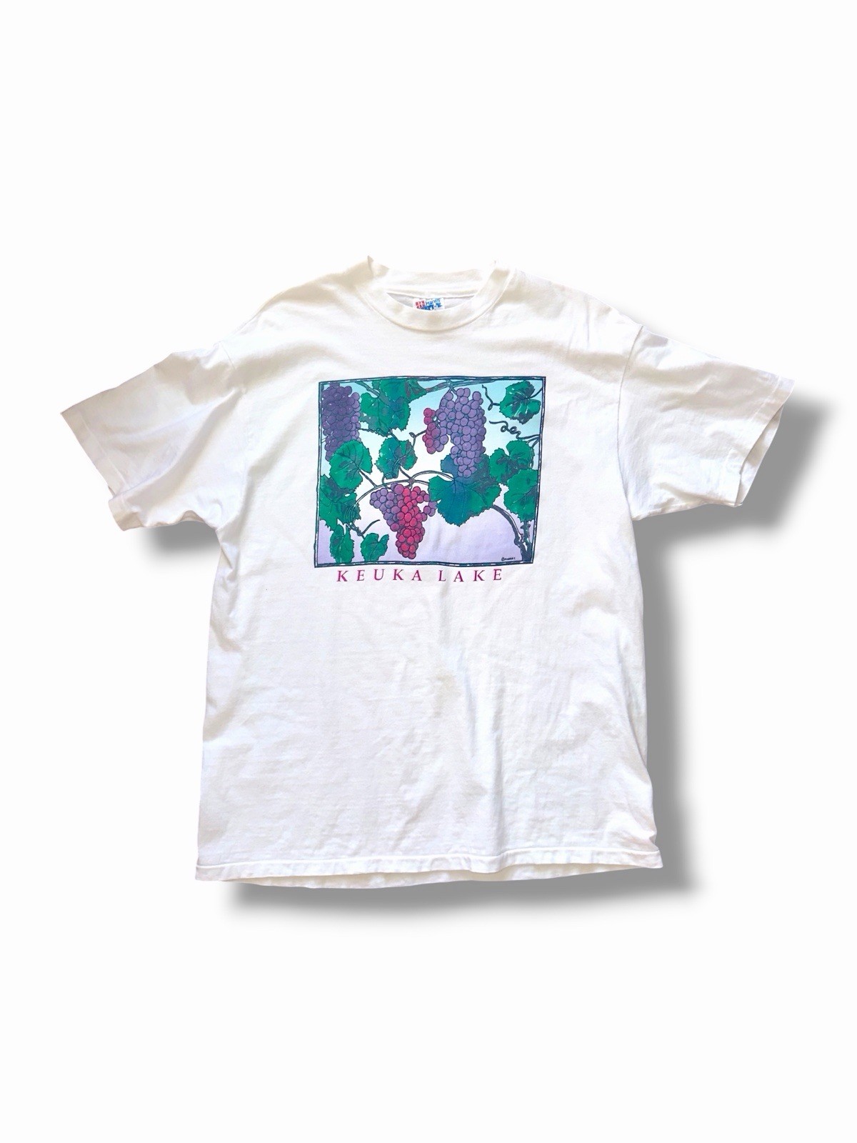 Vintage 90s Keuka Lake Grapes Hanes Beefy T Shirt USA Single Stitch L