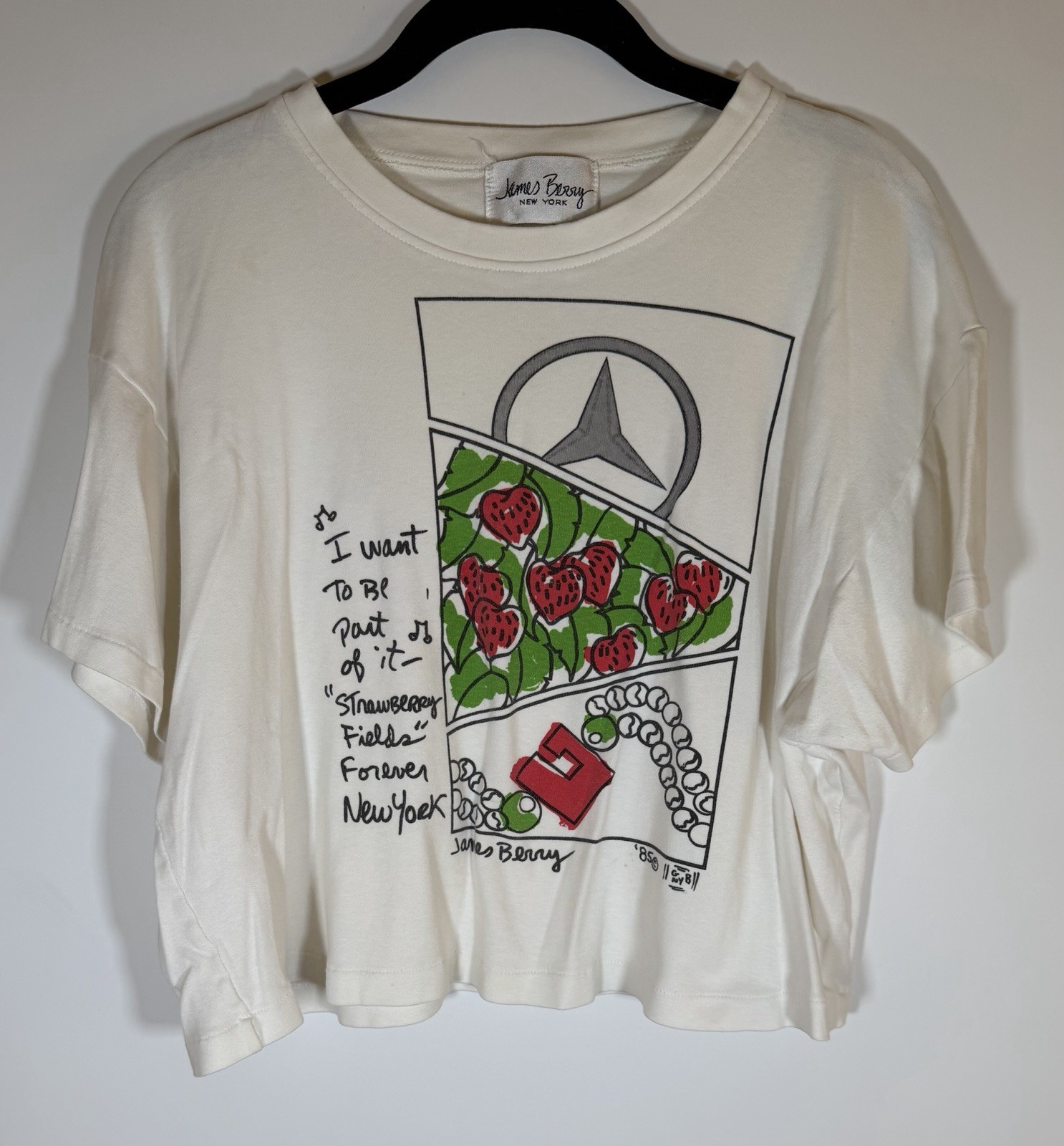 Vintage 80s James Berry Strawberry Fields Forever The Beatles white boxy tee OS
