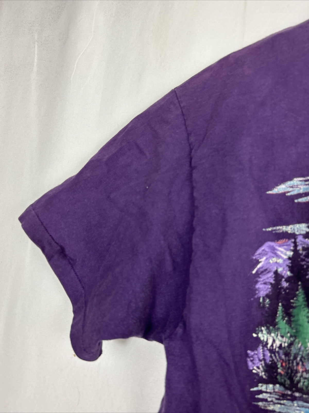 Hanes Vintage Women’s Large Mountain Spirit Utah Landscape 1993 Tee T-Shirt