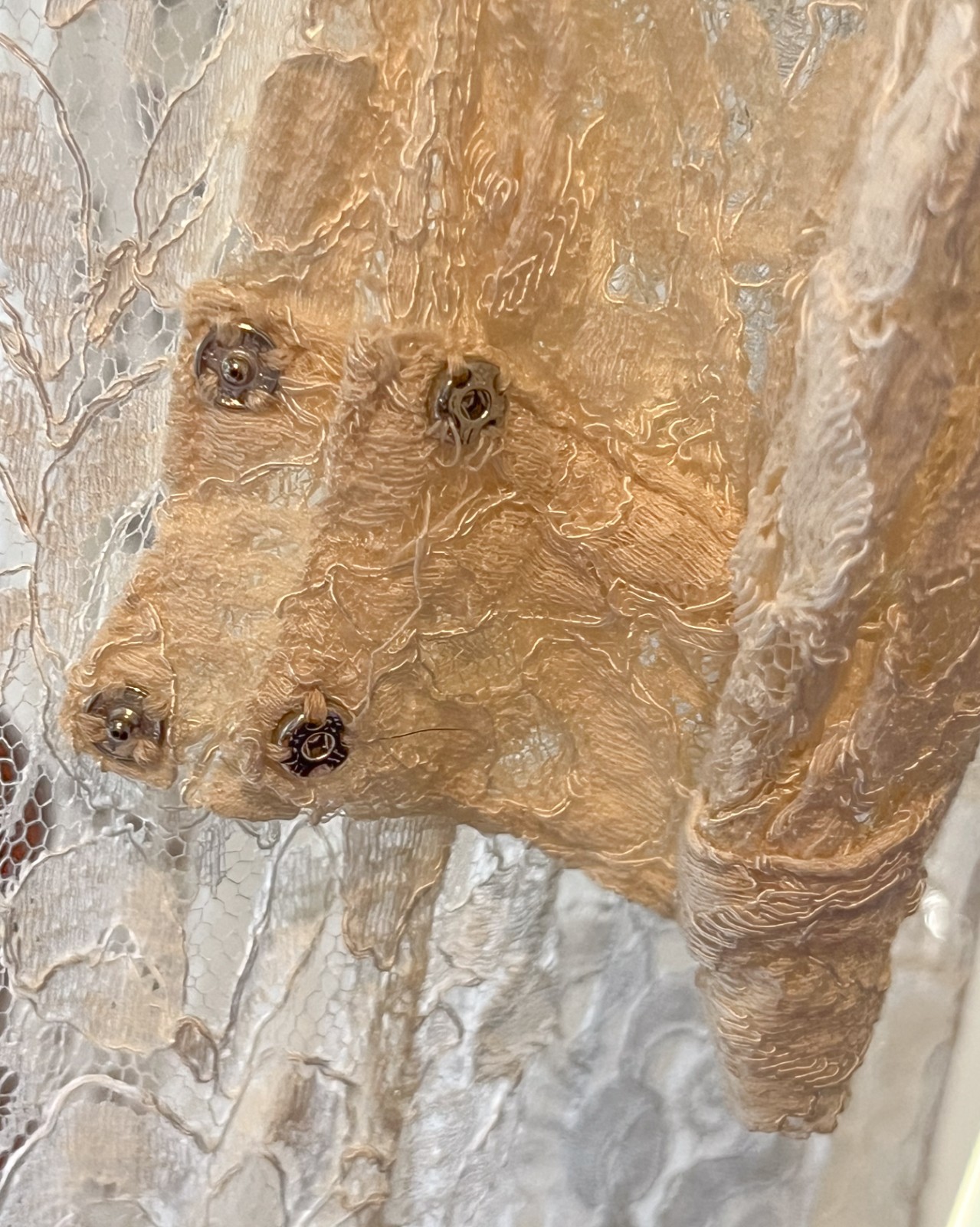 Rare 1930s Sheer Chantilly Lace Wedding Dress Gown – Long Catherdral 2.5m Train