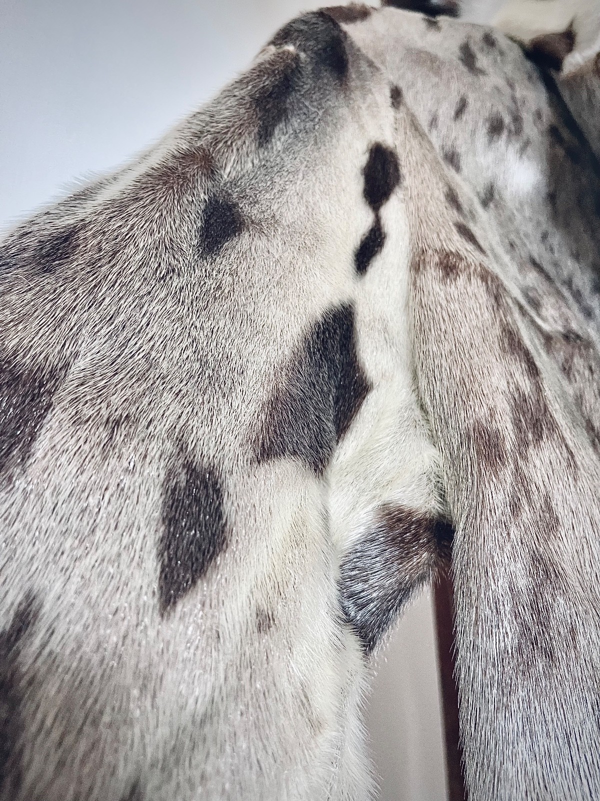rare Vintages Artisanal Canadian Inuit Seal Arctic Fox Fur Coat Collector’s Item
