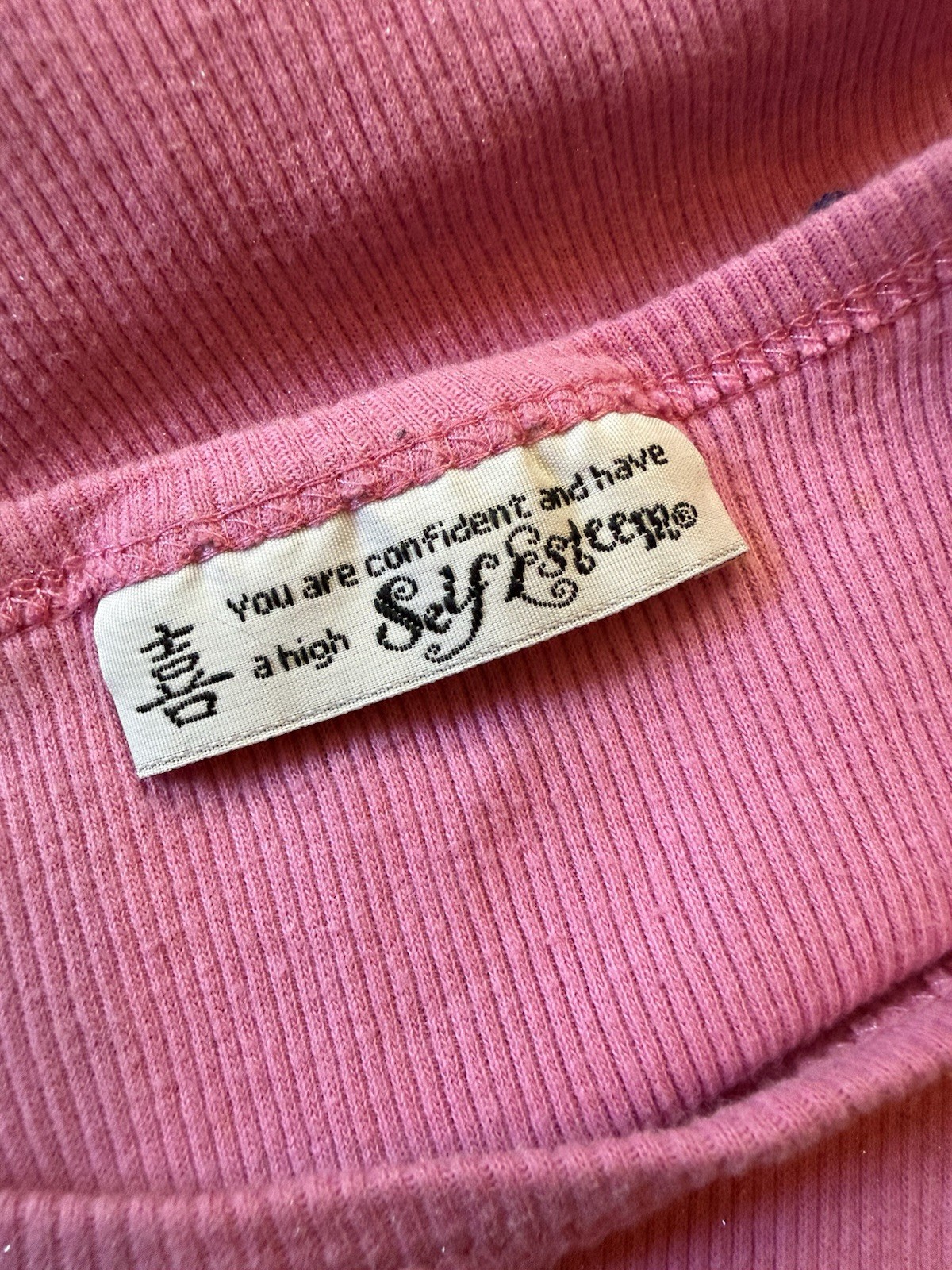 Vtg Y2K Self Esteem “Pet Training” Dog Lover Dog Life Graphic Baby Tee Size S