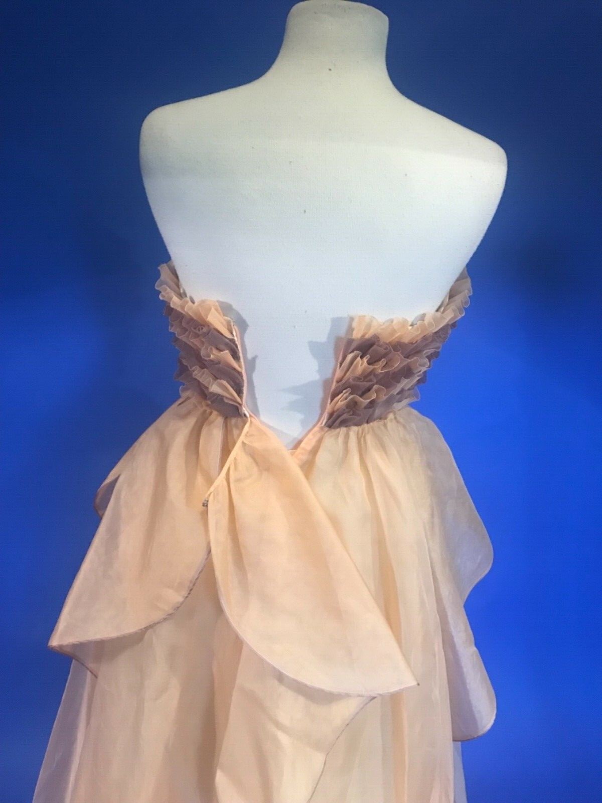 BENNY ONG Trudie McCarthy London Diana ball gown opera cape hand painted Cosplay