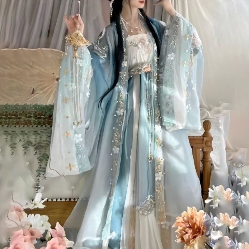 Ancient Chinese Traditional Women Song Dynasty Embroidery Print Hanfu Dress