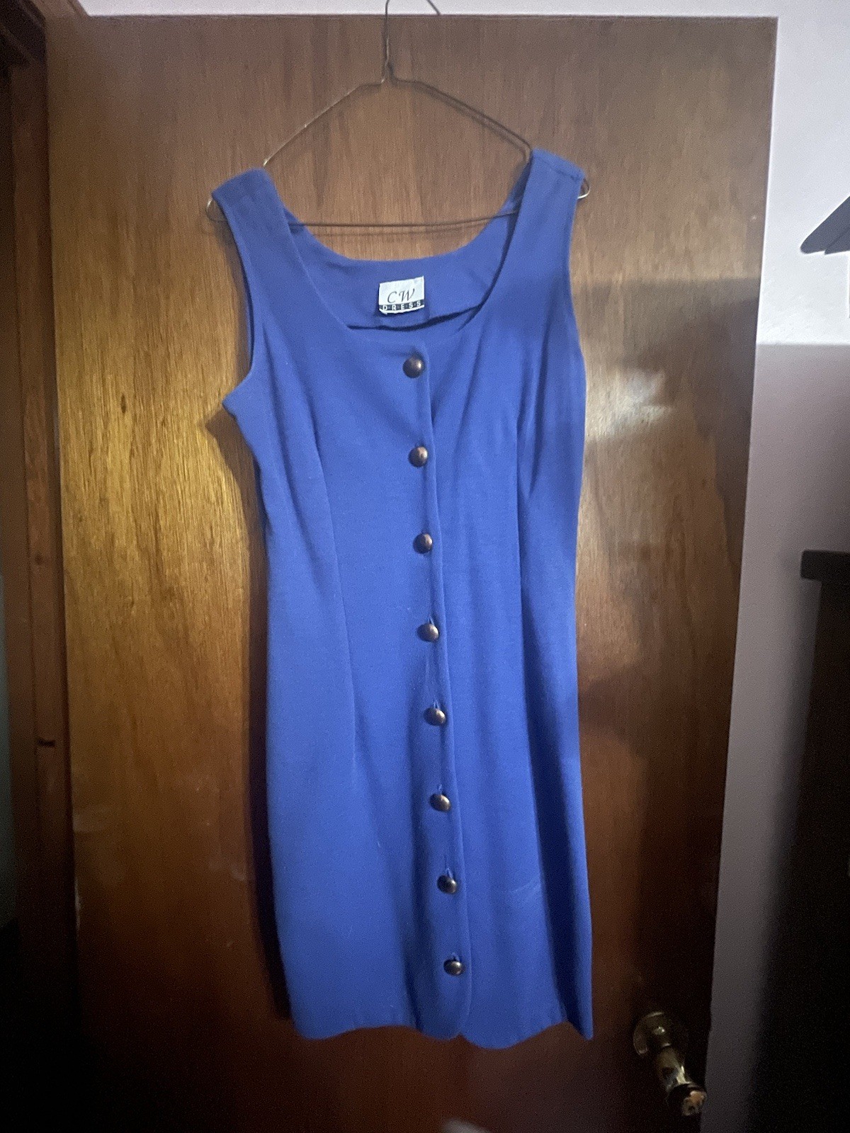 Vintage CW Dress Brand Blue button Down 80’s/90’s Free shipping