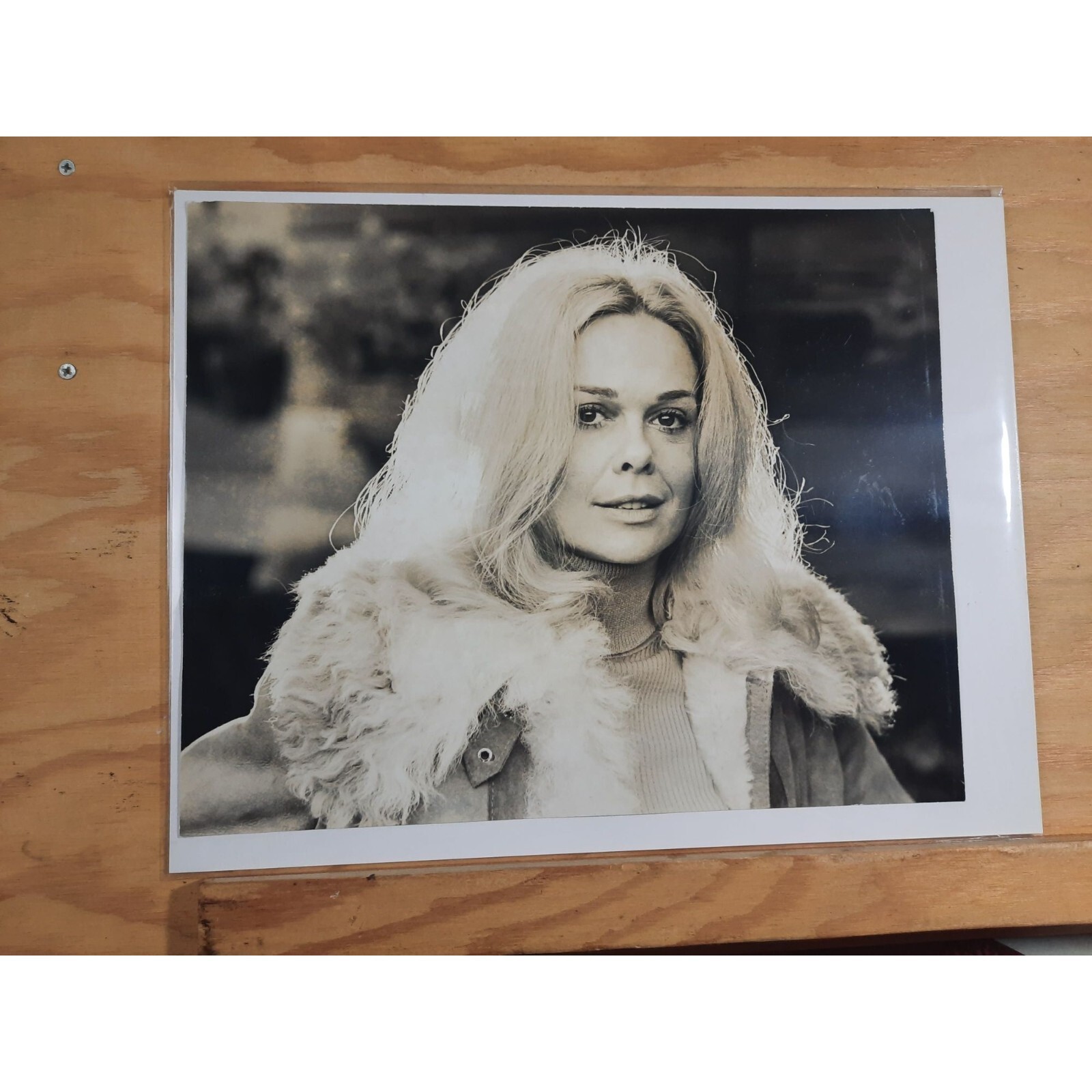 Vintage Hollywood Starlet Lynn Borden Saks Fifth Avenue New Dimensions French Sh