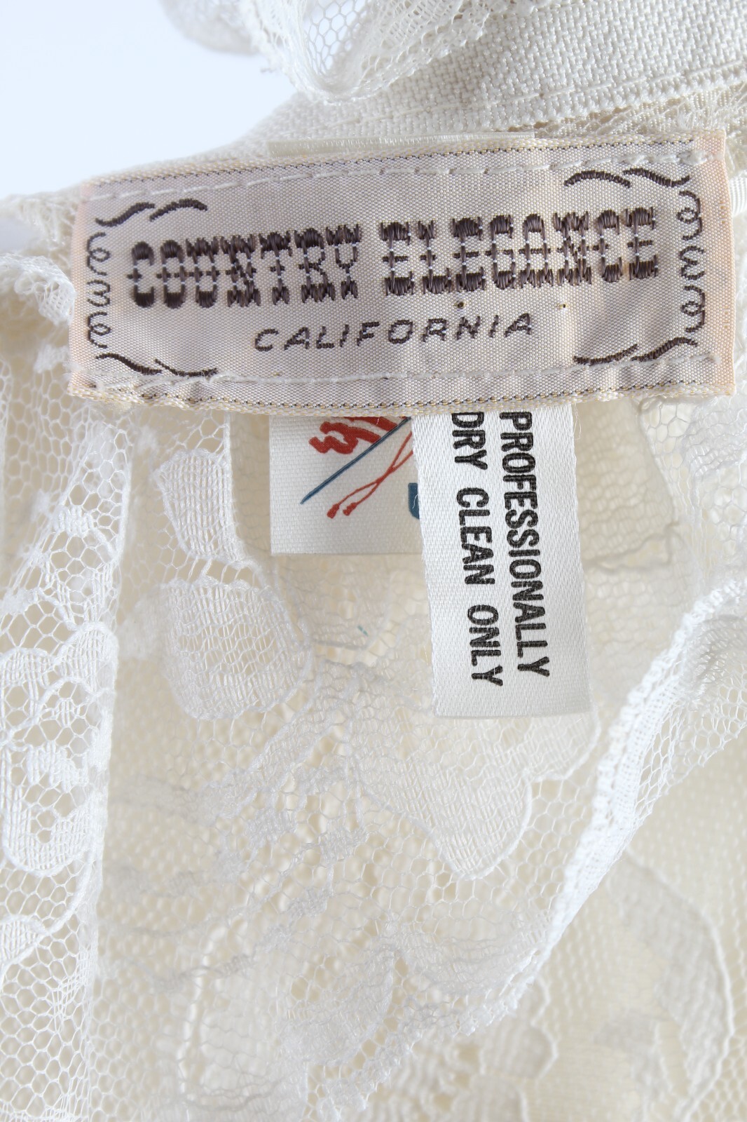 Vtg Country Elegance Cottagecore Dress Sheer Drop Waist Deco Prairie Peasant