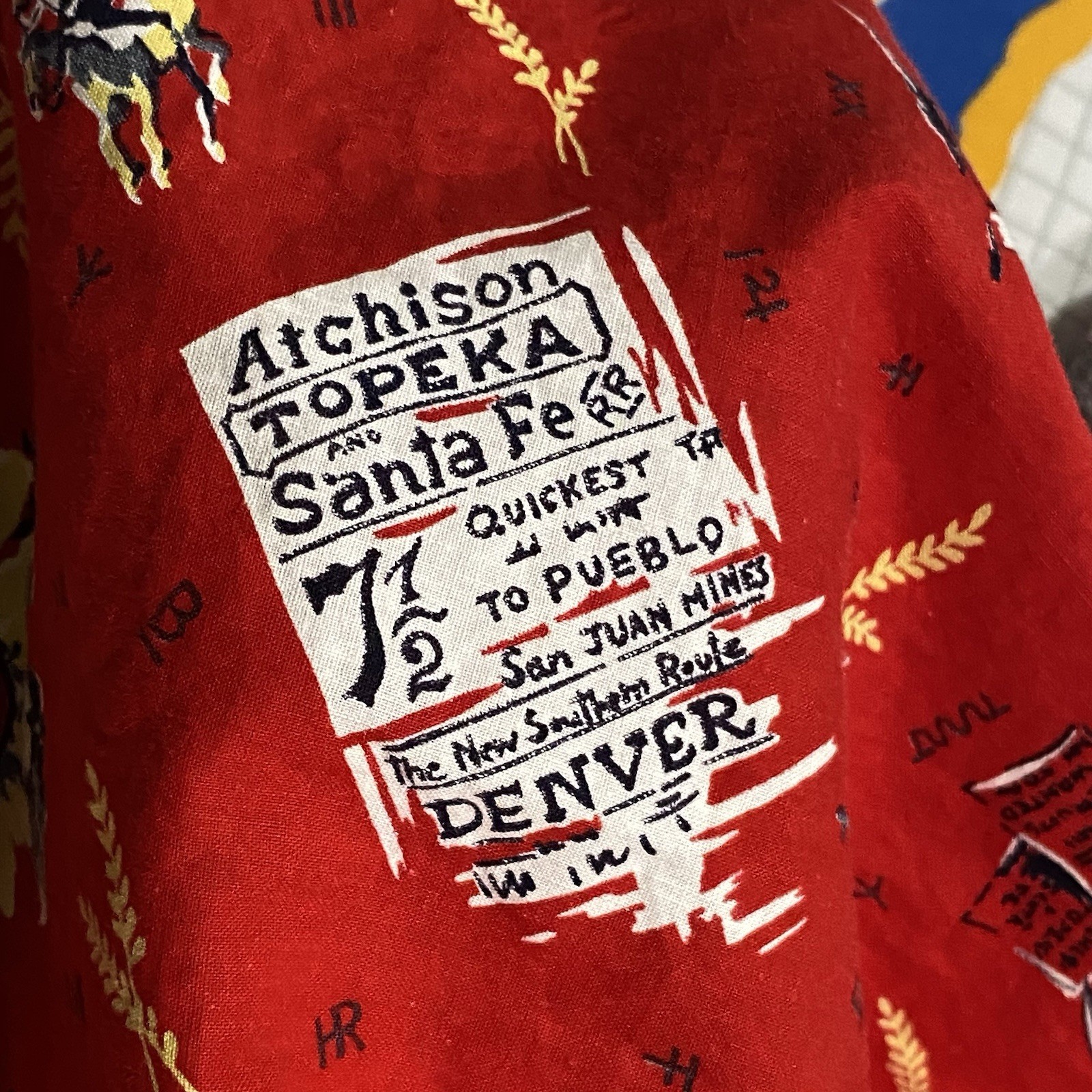 Vintage 50s Novelty Print Skirt Art Santa Fe Railroad Travel Rockabilly Western