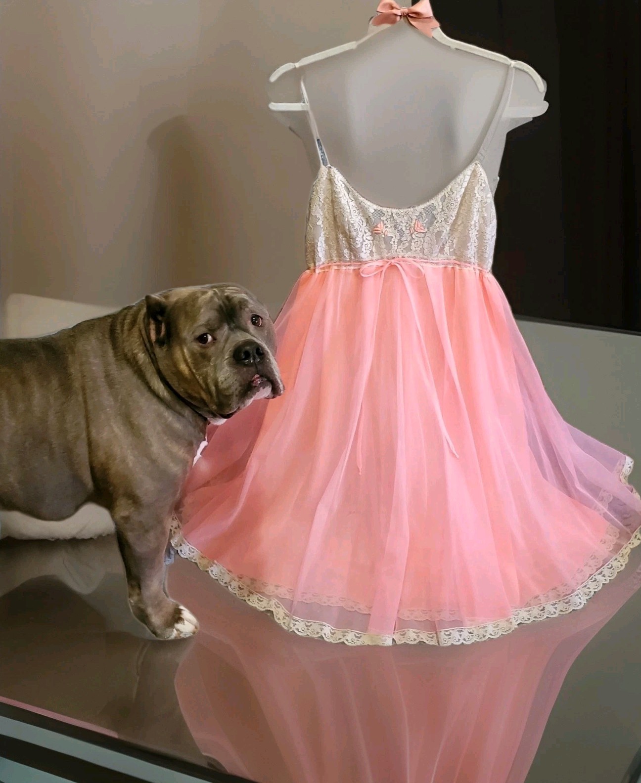 VTG RARE LUCiE ANN LAYERED CHiFFON & LACE BALLERiNA BABYDOLL DRESS S