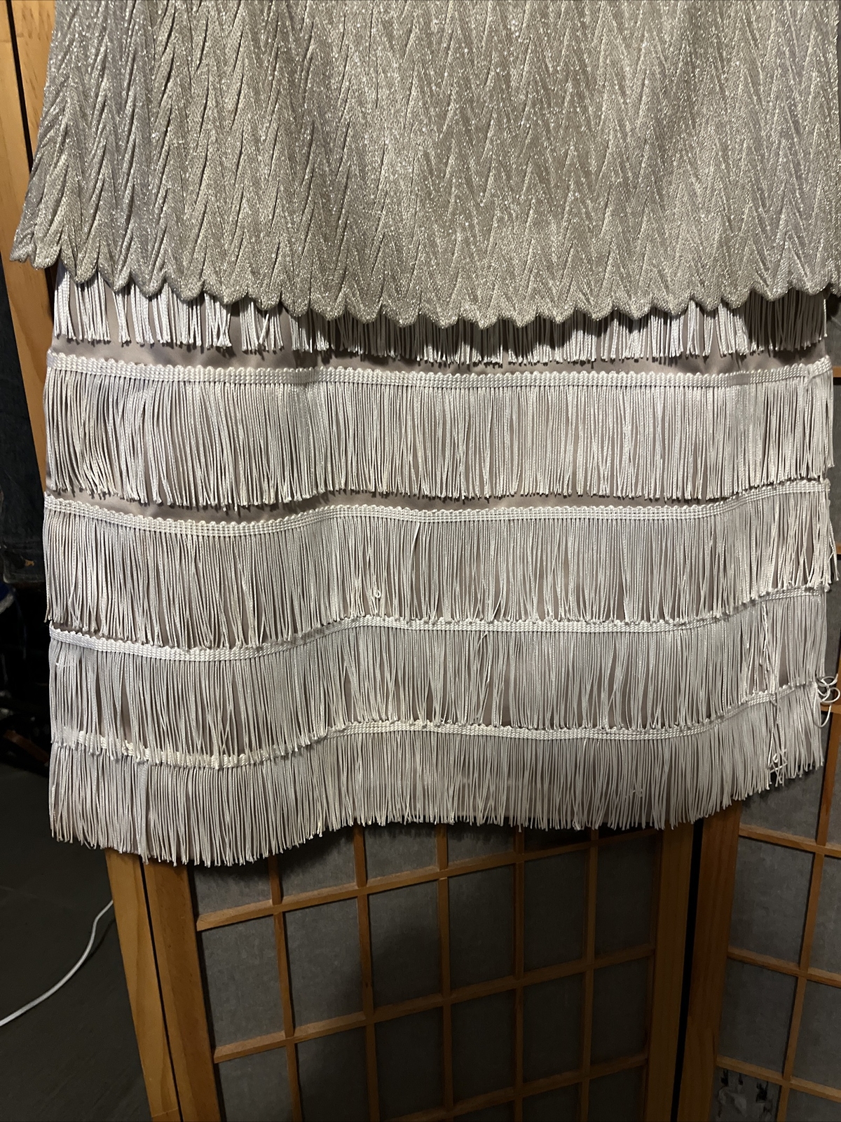 Vintage Arianna by Rachel Kaye Fringe Flapper Dress Style 271981 USA Size 14