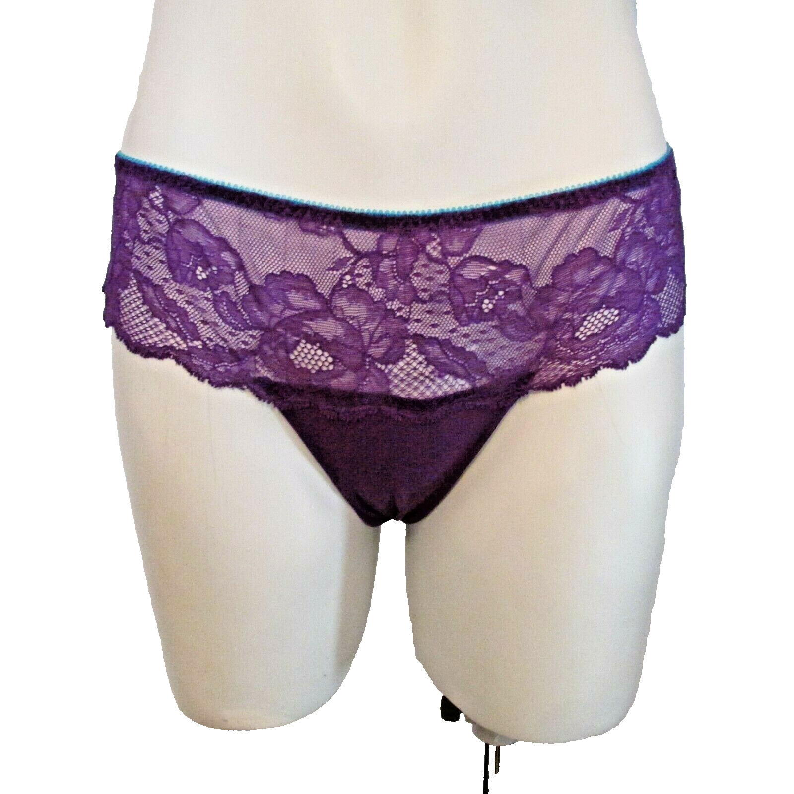 Victoria’s Secret Purple Mesh back Chantilly Lace Front Hiphugger Bikini Panty M