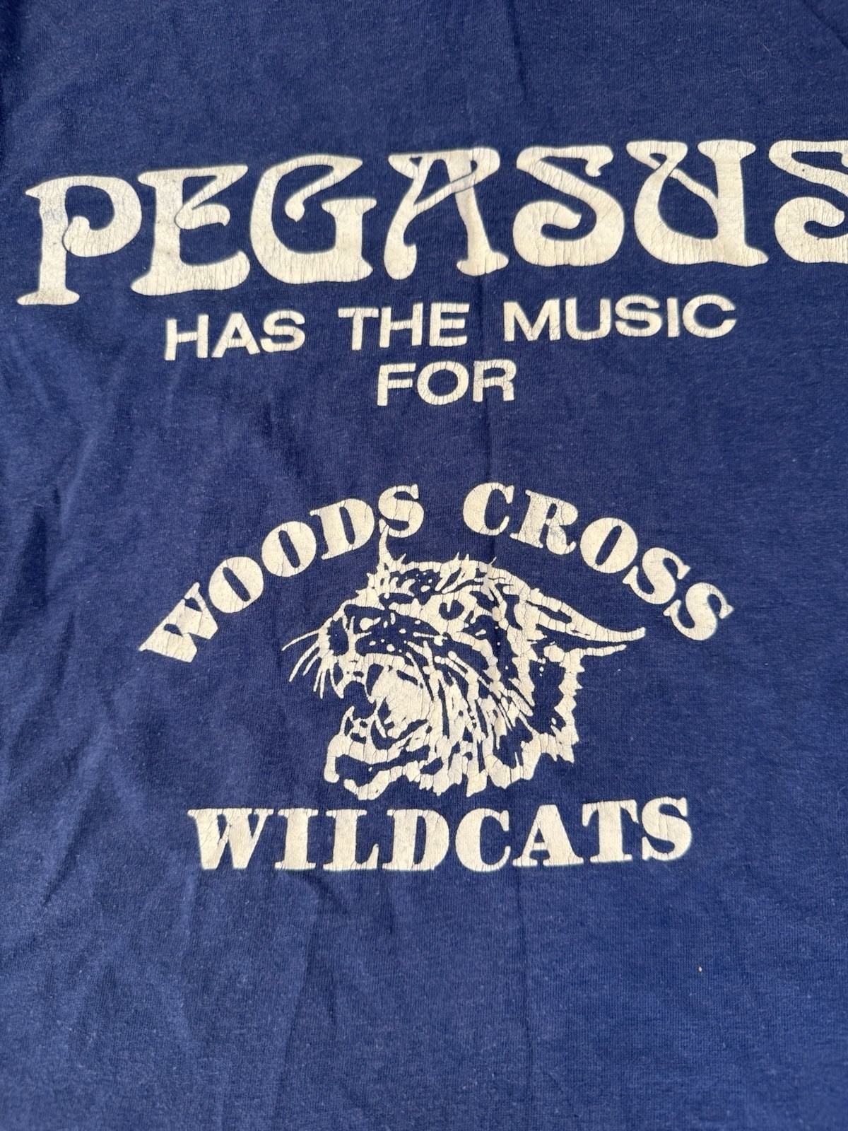 VINTAGE Pegasus Albums And Tapes Blue T-Shirt Medium M Single Stitch Women’s