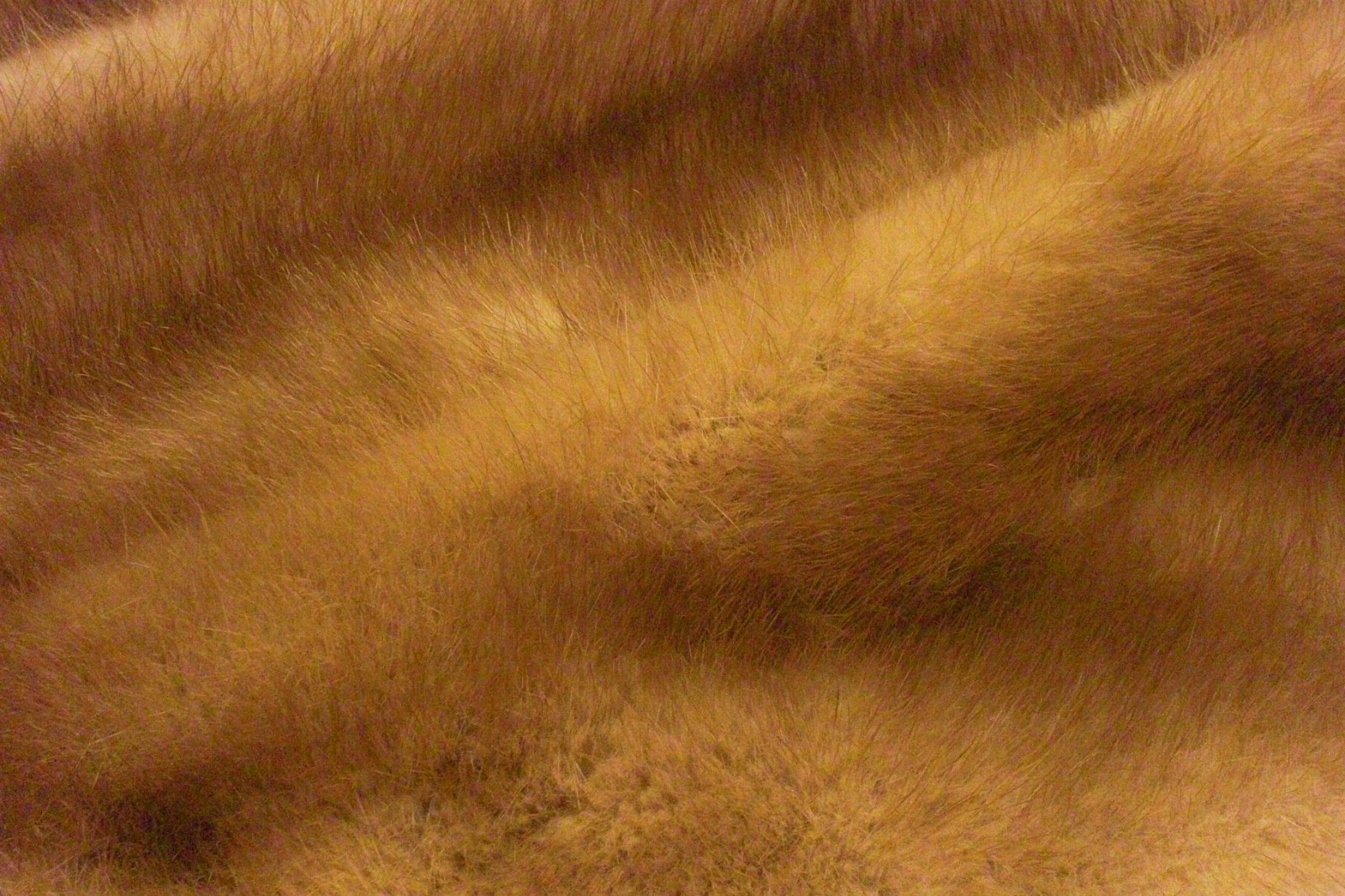 Champagne Blonde Mink Fur Bridal Stole – 1950s Vintage Wedding Wrap White Stole