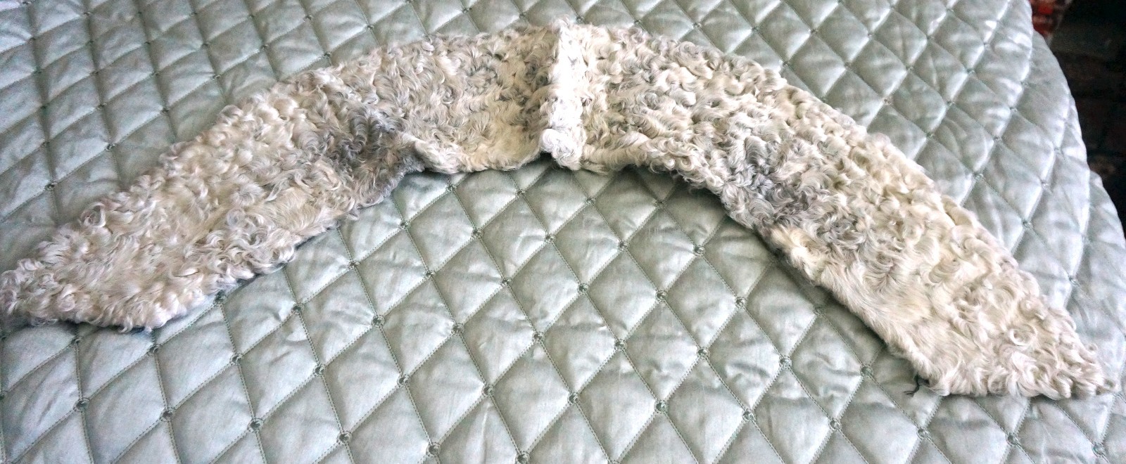 Vintage Real Gray Persian Lamb Fur Collar for Jacket Coat
