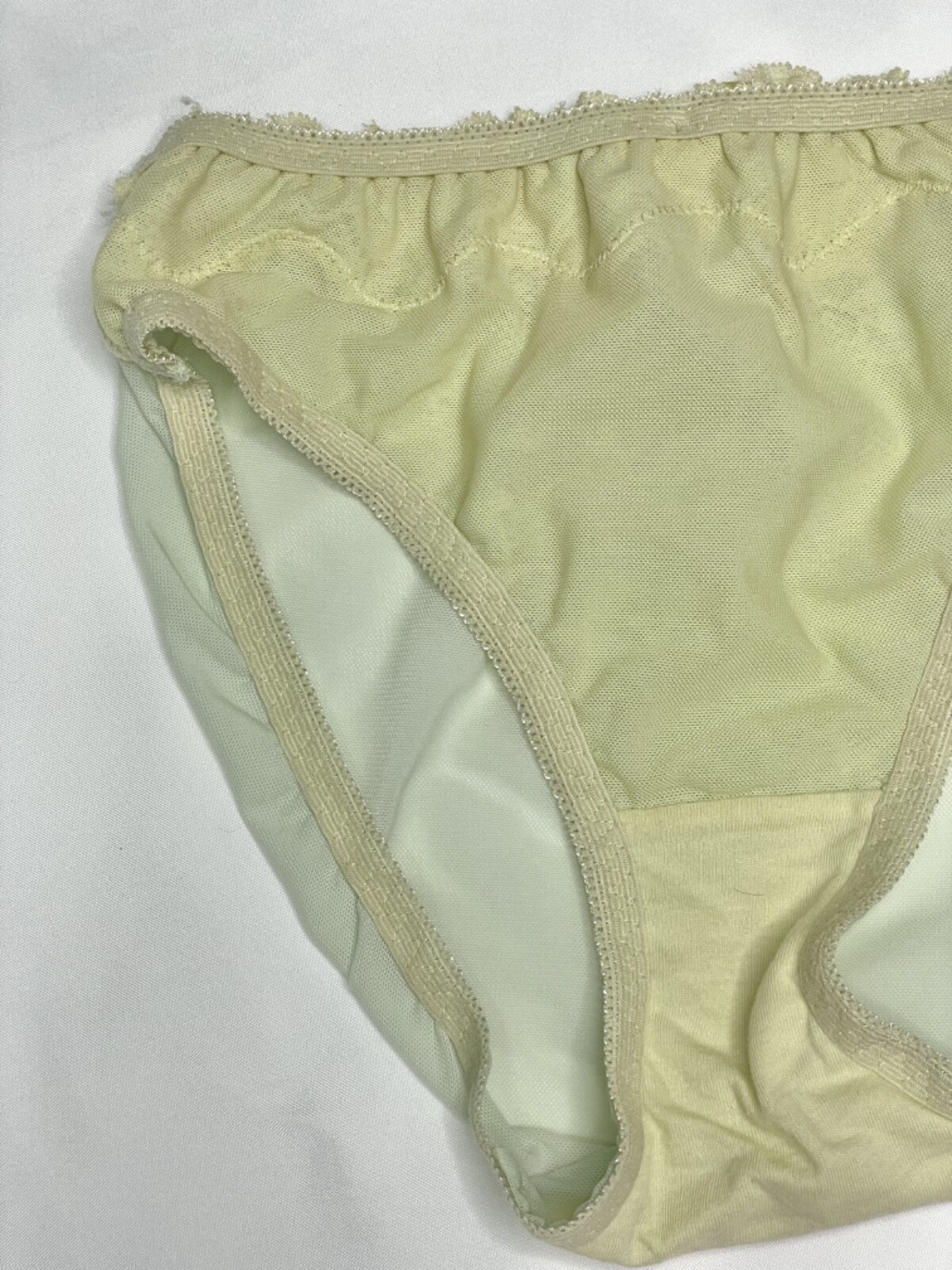 Vintage Silky Pale Nylon Mesh Sissy Panty Sz.5 Floral Lace Briefs Hip 34-37″