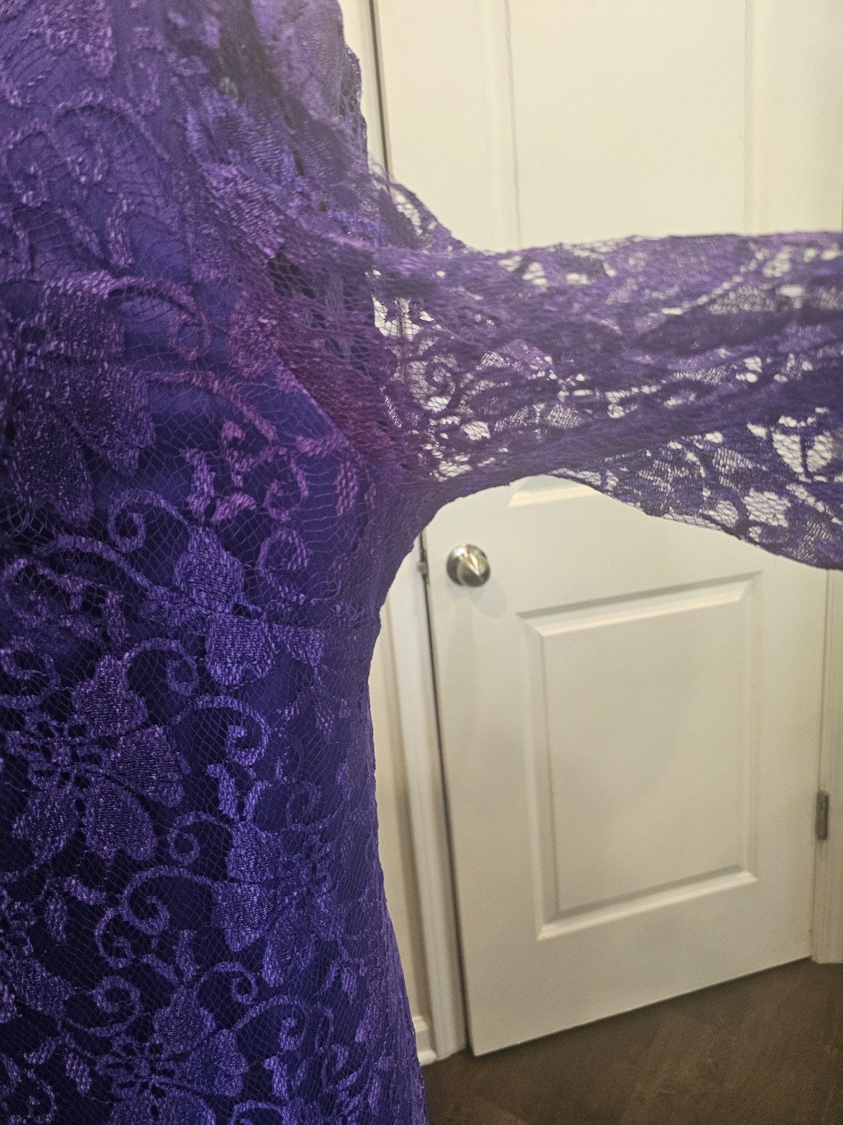 Vintage Mister Jay Purple Lace Sheer Victorian Long Dress Large/XL