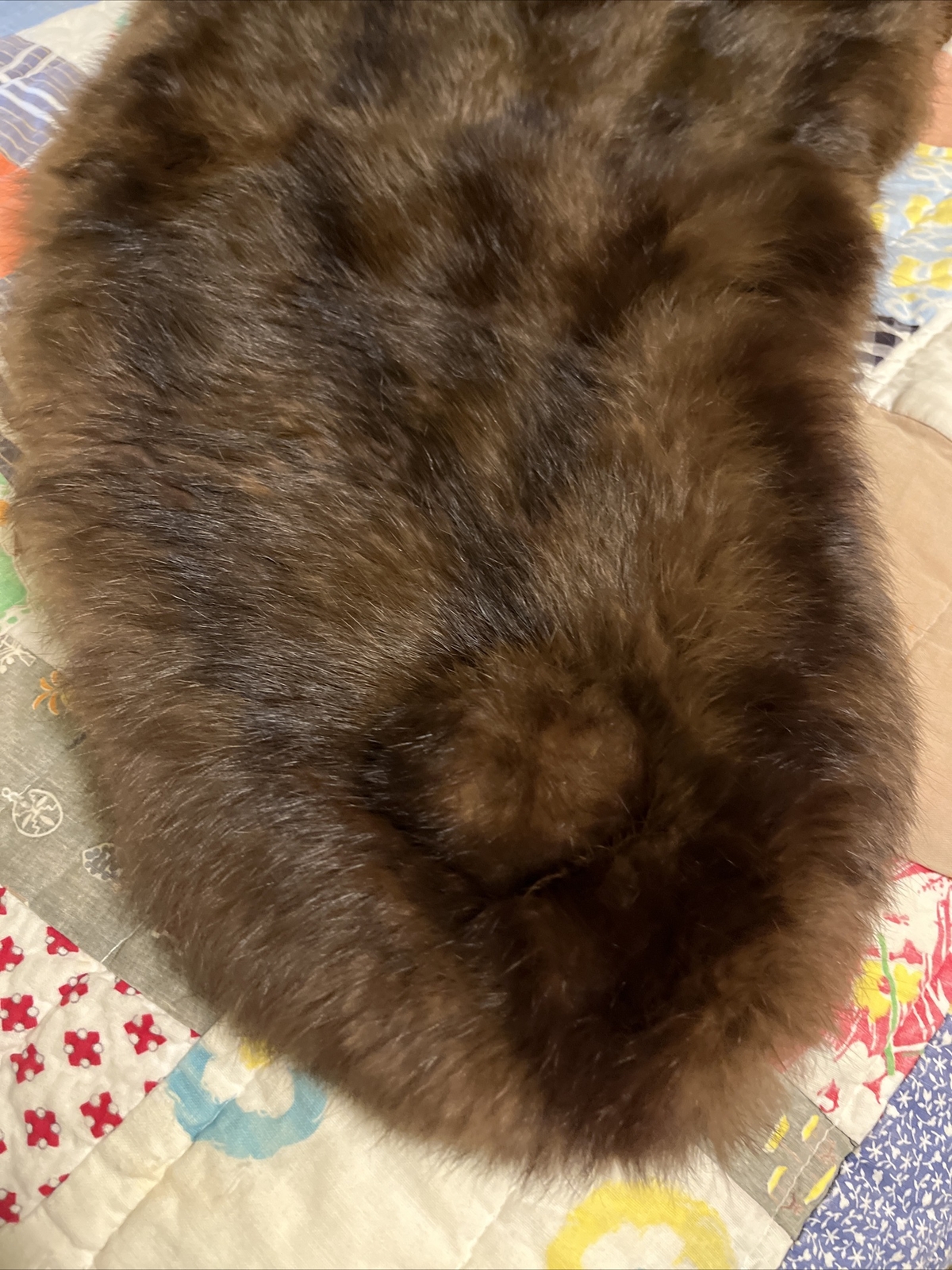 VTG Genuine Brown/Black Russian SABLE Mink Fur Stole Wrap Cape GLAMOROUS 1950’S?