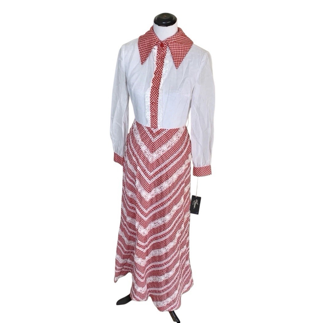 Vintage Lee Jordan 70s NWT Gingham Long Sleeve Maxi Dress Sz 8 Boho Cottagecore