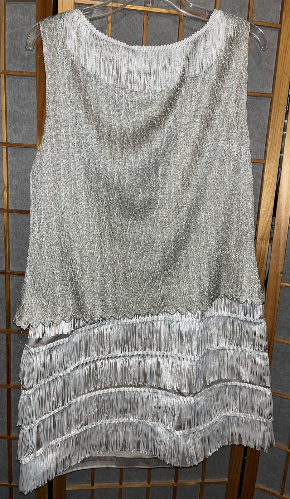 Vintage Arianna by Rachel Kaye Fringe Flapper Dress Style 271981 USA Size 14