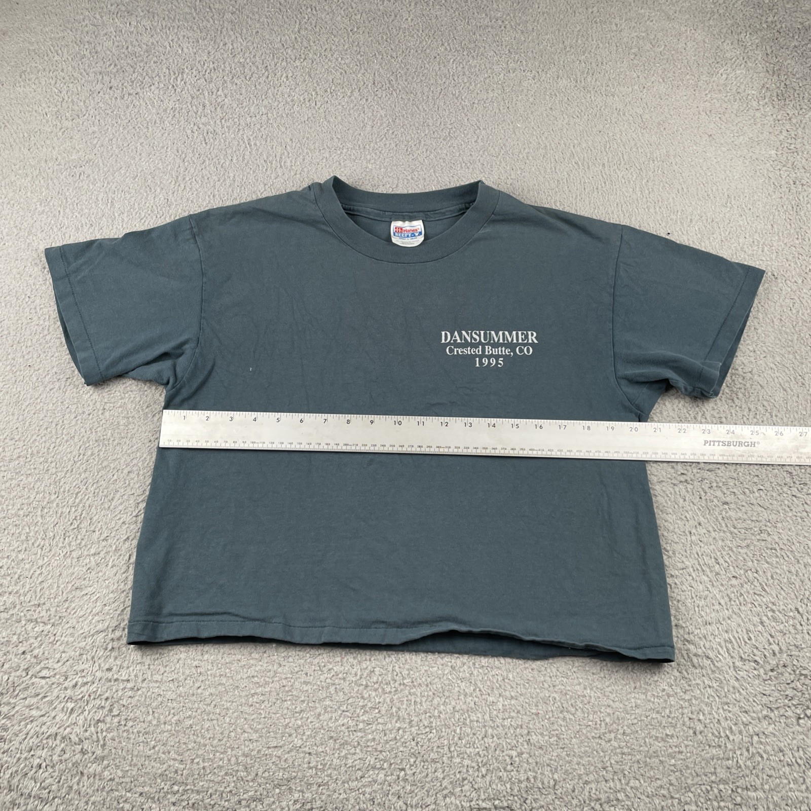 Vintage Hanes L DANSUMMER Dance Crested Butte Colorado Shirt 1995 Cropped USA