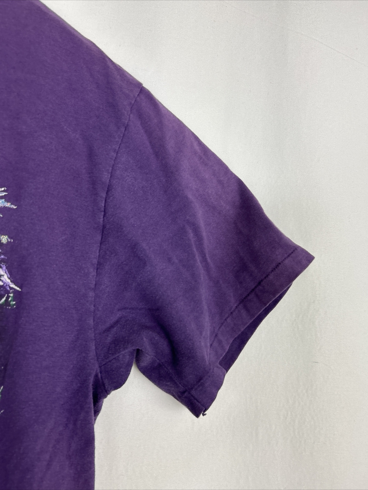 Hanes Vintage Women’s Large Mountain Spirit Utah Landscape 1993 Tee T-Shirt