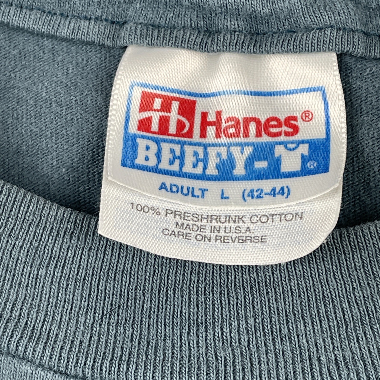 Vintage Hanes L DANSUMMER Dance Crested Butte Colorado Shirt 1995 Cropped USA