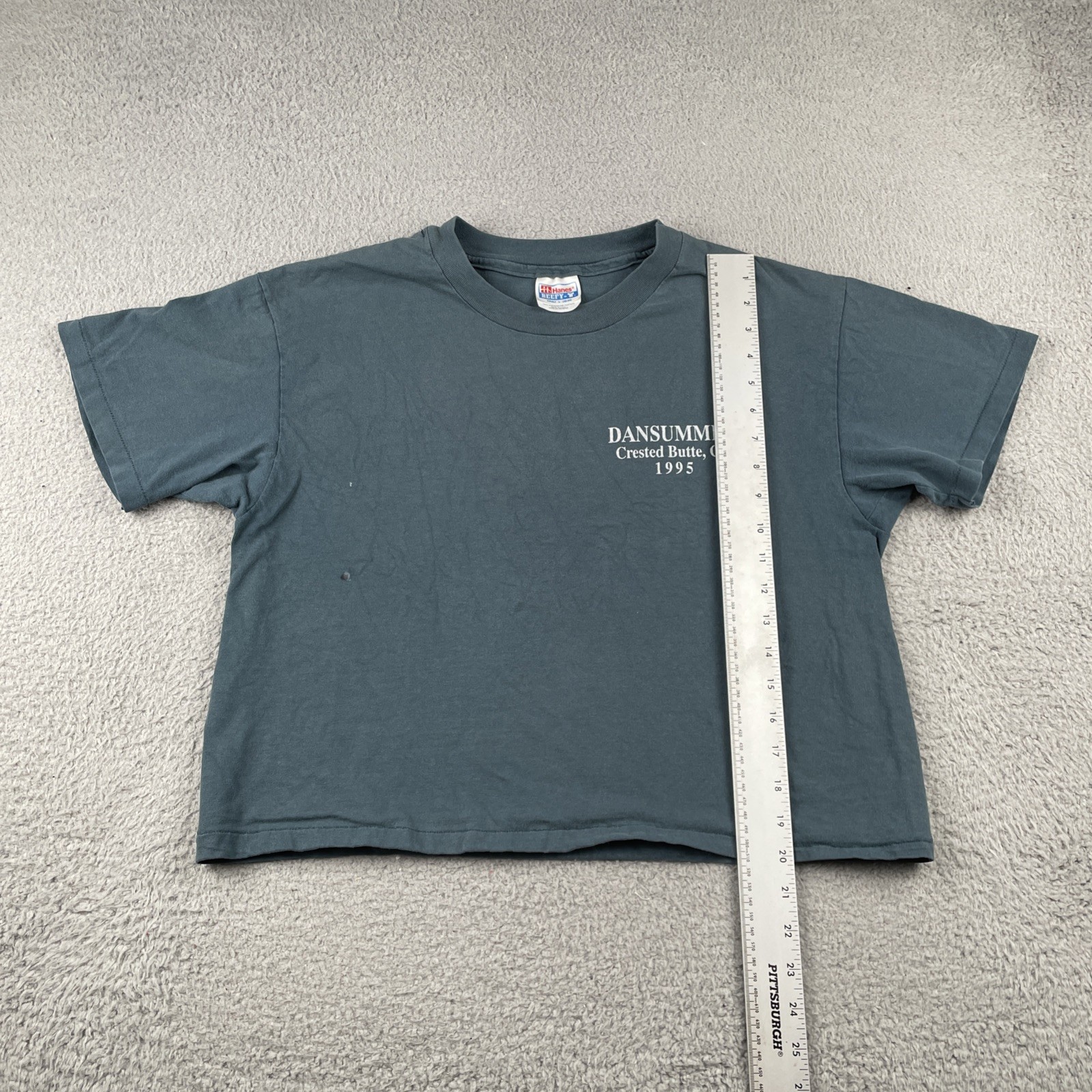 Vintage Hanes L DANSUMMER Dance Crested Butte Colorado Shirt 1995 Cropped USA