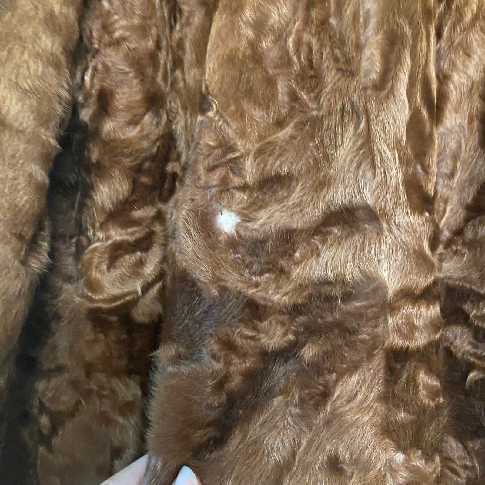 Vintage Mackenzie Furs Brown Mouton Fur Coat Jacket Milwaukee New York