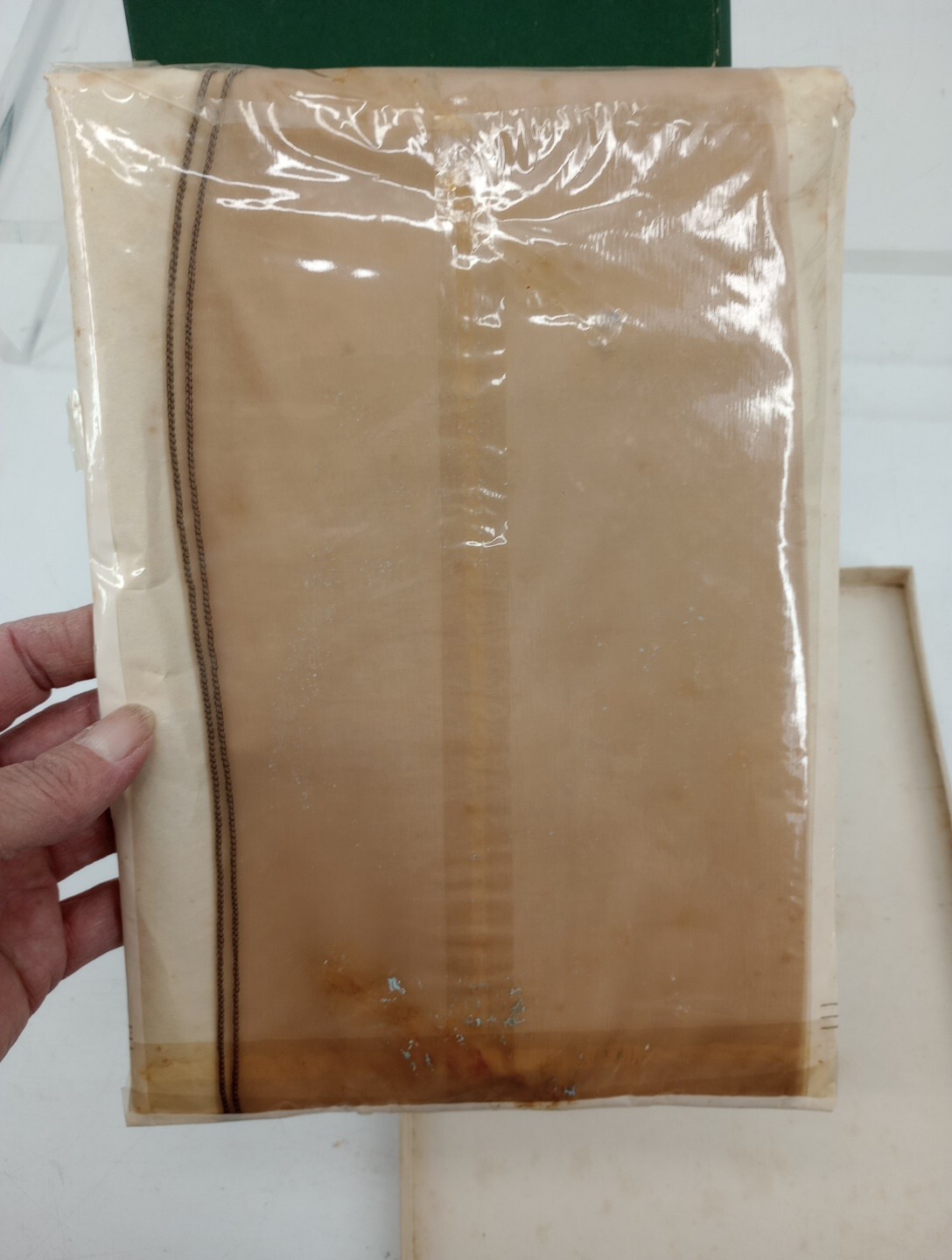 Vtg WILBORN Exquisite Hosiery Size 9 Soft Beige L29 Full Fashioned Orig Box Read