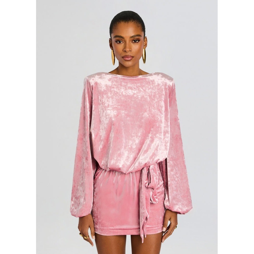 New! Retrofête Elysia Velvet Mini Dress Vintage Rose Tie Waist Long Sleeve Small