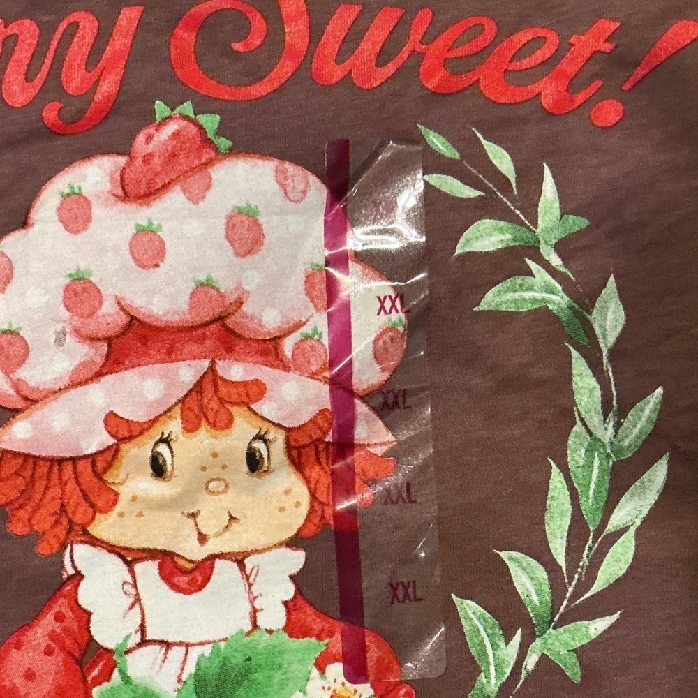 Strawberry Shortcake Graphic Tee Women XXL Nutmeg NEW Berry Sweet Retro T-Shirt