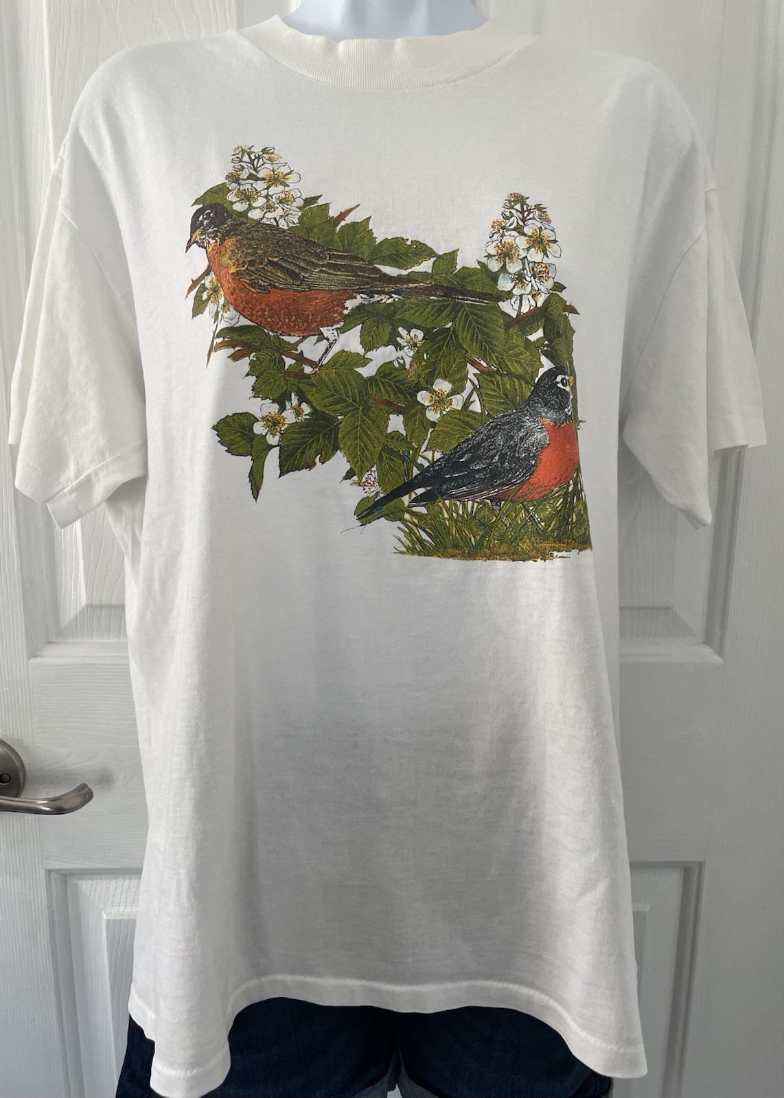 Vintage Oneita Power Graphic Tshirt Robins Think Spring Size L Retro