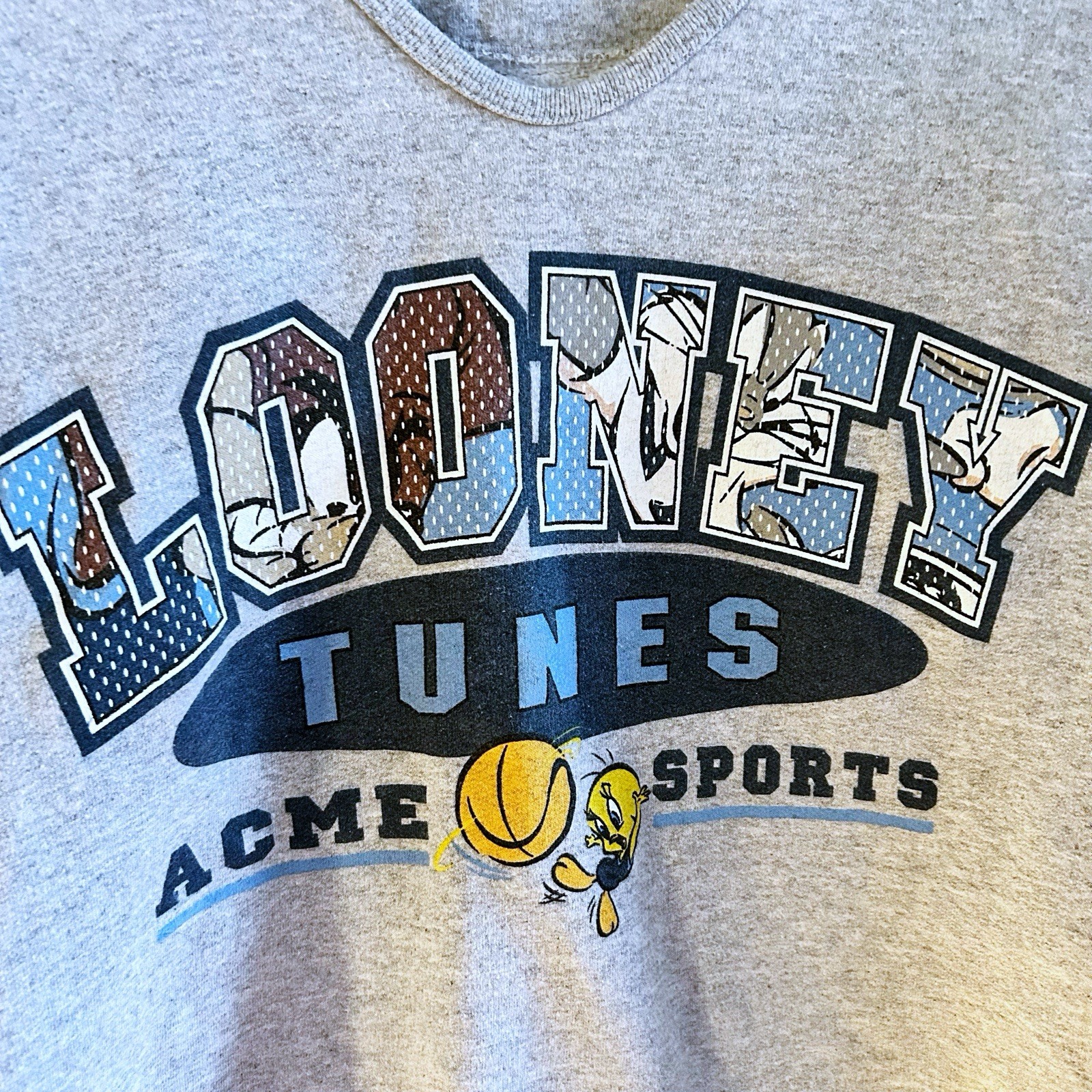 Vintage 1997 Looney Tunes Acme Sports Sweatshirt Gray Women’s Large Crop