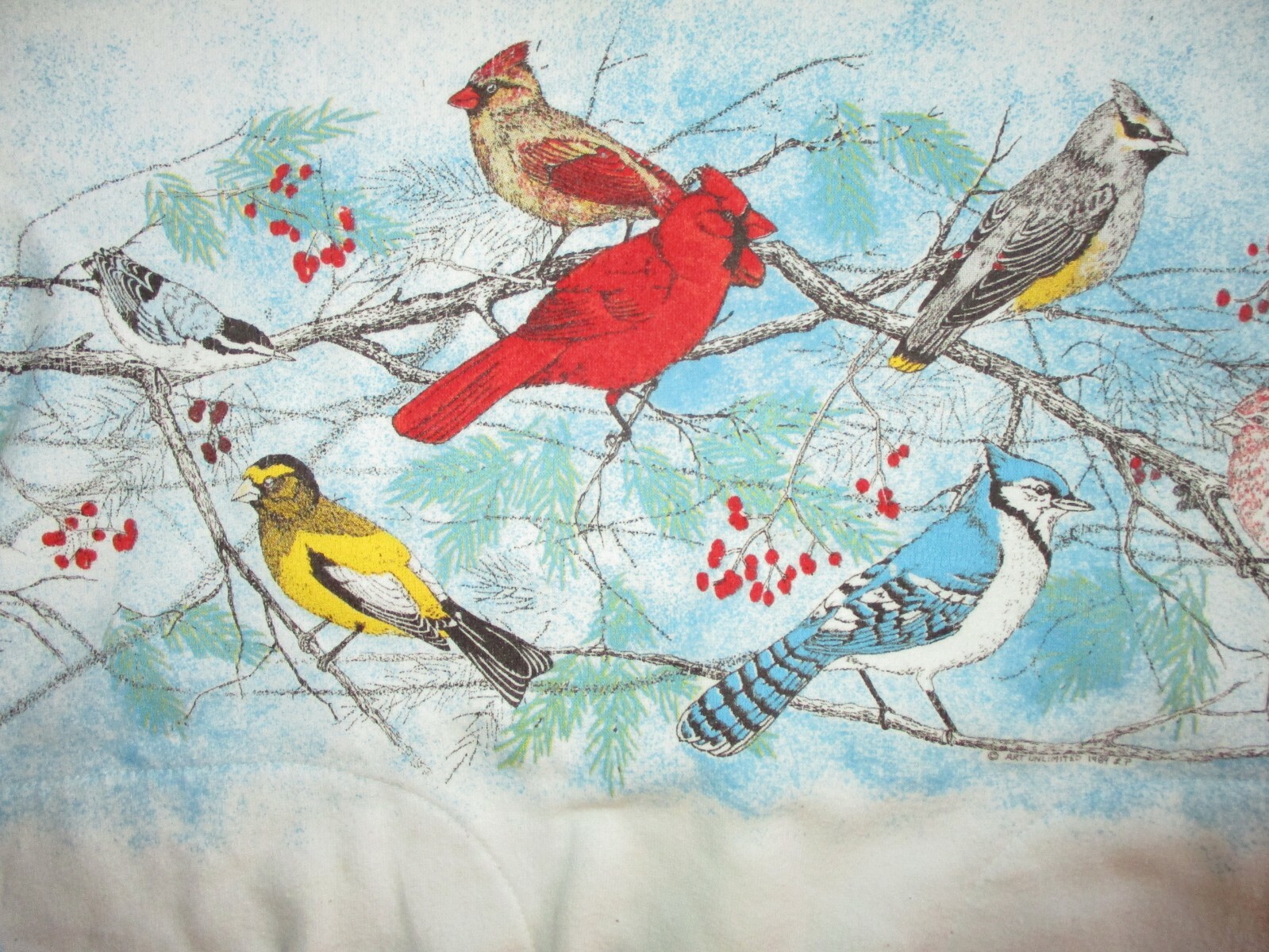 vtg 1980s BIRDS SWEATSHIRT Cardinal Bluejay White Blue Sault Ste Marie Michigan