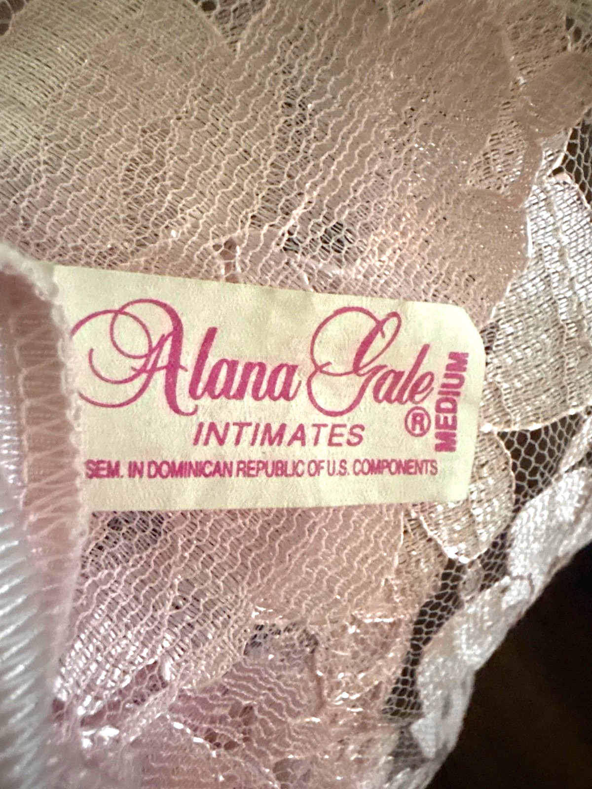 NEW Vintage Alana Gale 2 Pc Pink Sheer Nylon Lace Teddy Lingerie Set-Size Large