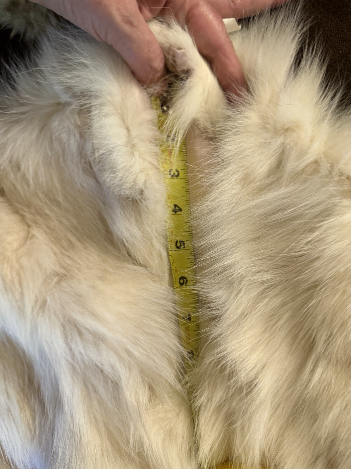 Preloved Ivory Blue Fox Fur Full Cape Oversized 82”