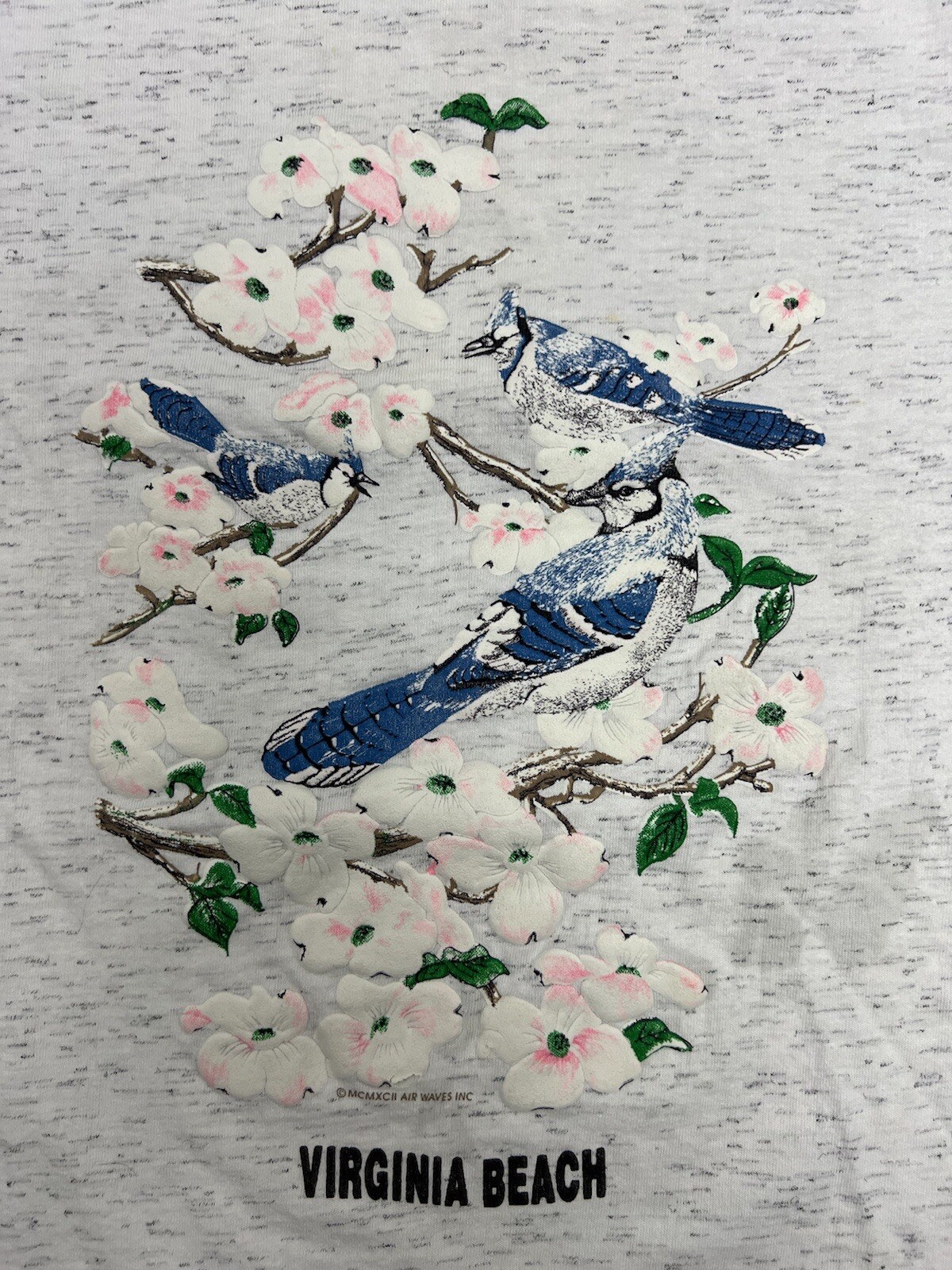 VTG Virginia Beach Blue Jay Birds On Branches Air Waves Single Stitch T-Shirt