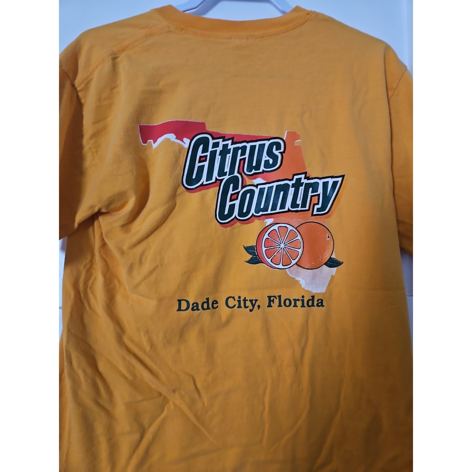 Vintage Y2K Citrus Country Florida Pocket Tee Size M
