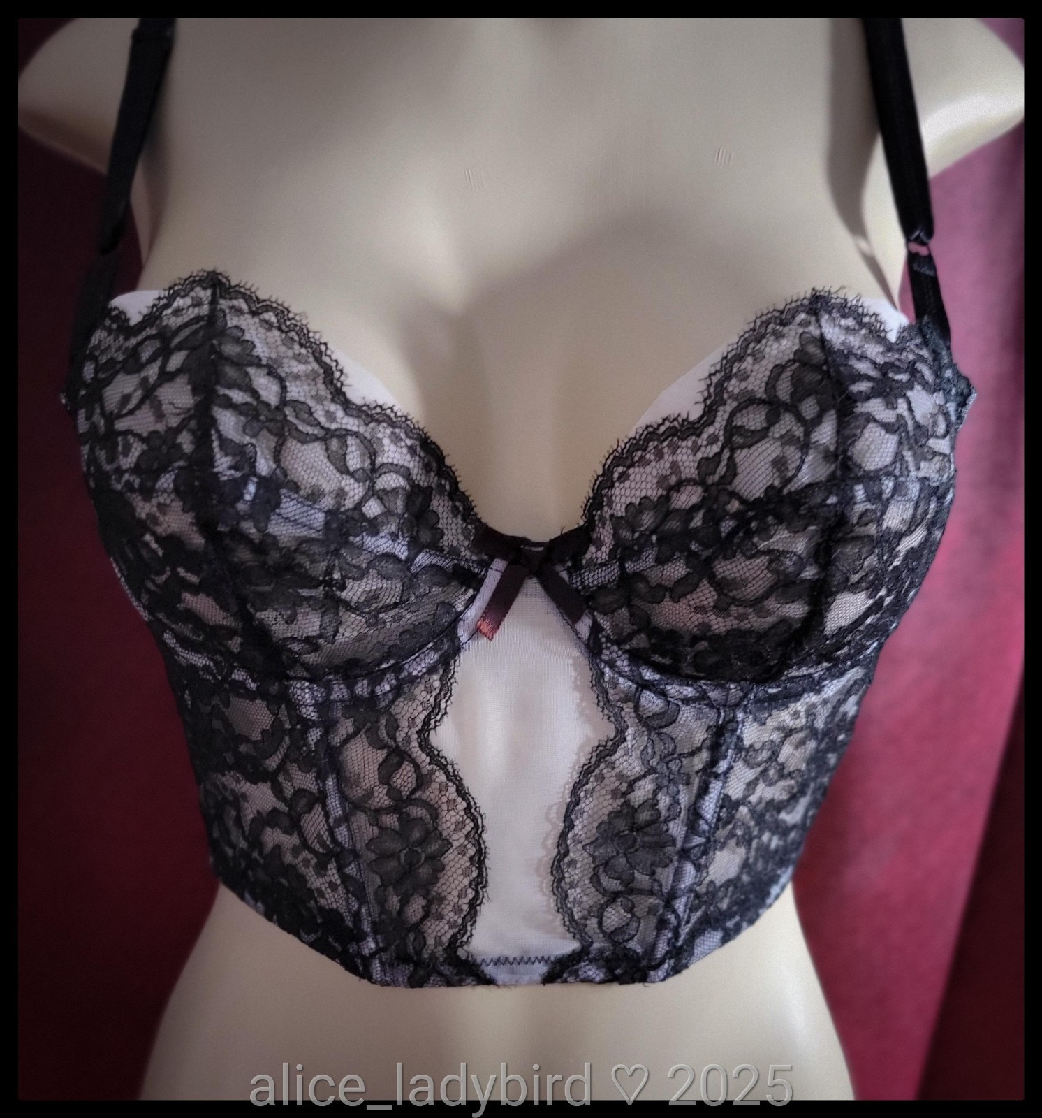 NWT Vintage VASSARETTE Bustier BRA Floral LACE Sheer Pink Corset Top S/M 34 B