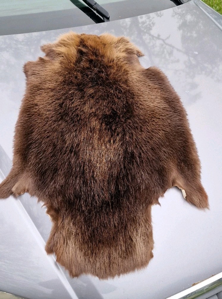 Europen Beaver fur/Profesional Tanned/Natural color/Very Soft, Warm and Flexible