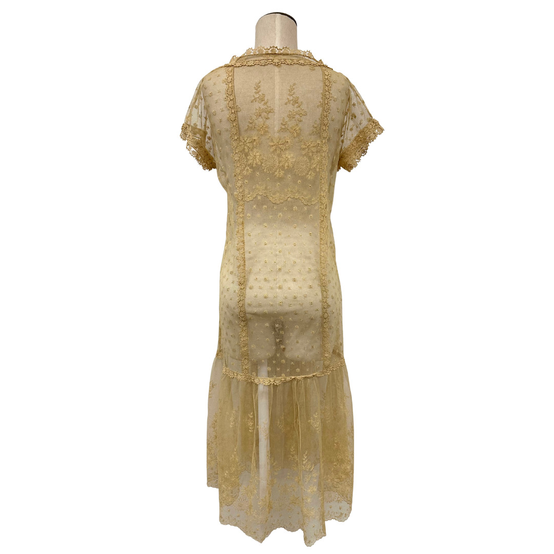 Antique 1900s Edwardian Ecru Net Lace Floral Short Sleeve Sheer Tea Dress