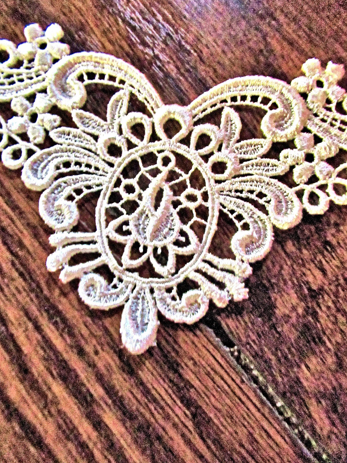 Vtg Lady’s Dress Insert Applique White Schiffli Lace Fancy Rosebud Wedding