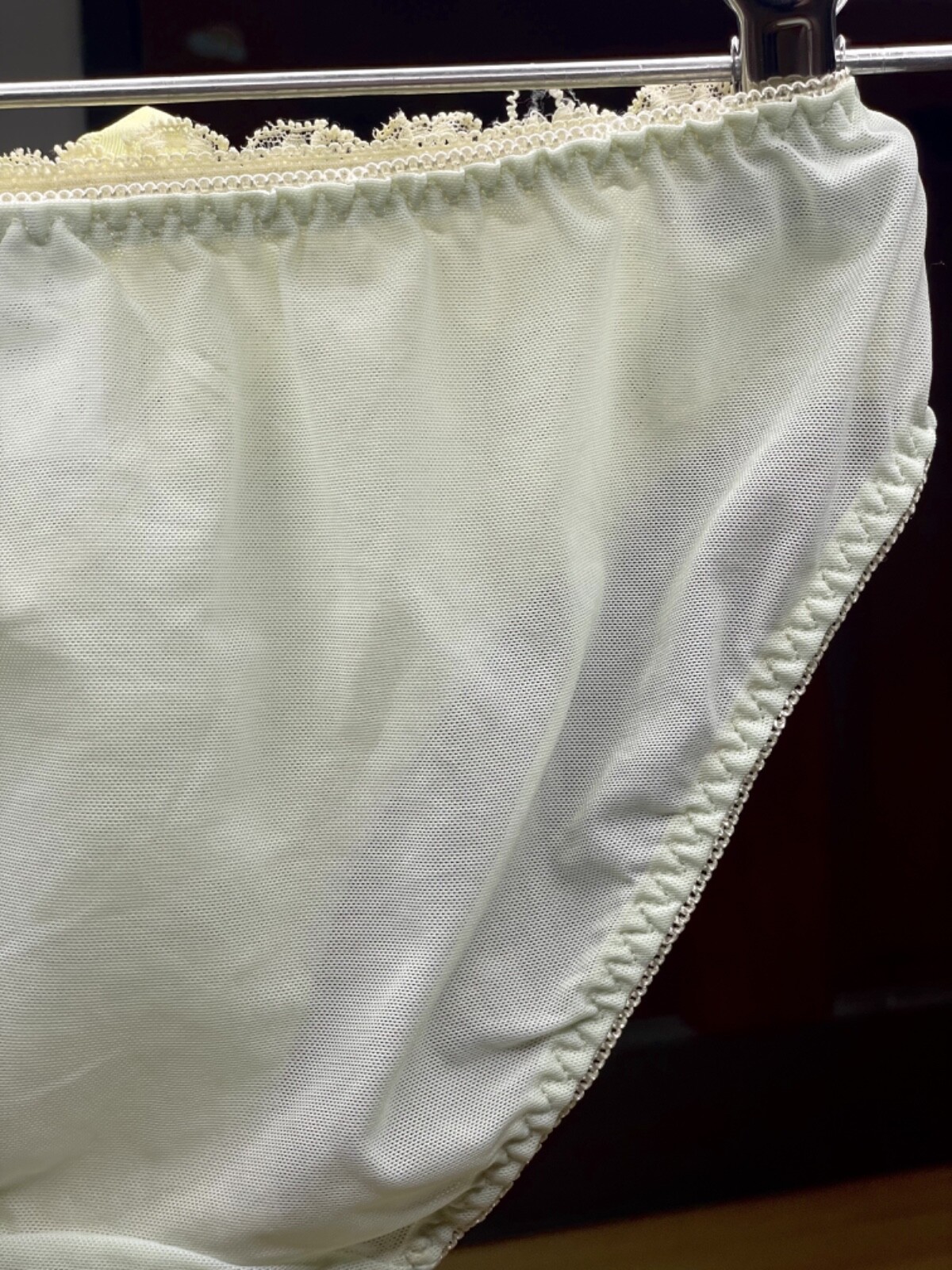 Vintage Silky Pale Nylon Mesh Sissy Panty Sz.5 Floral Lace Briefs Hip 34-37″