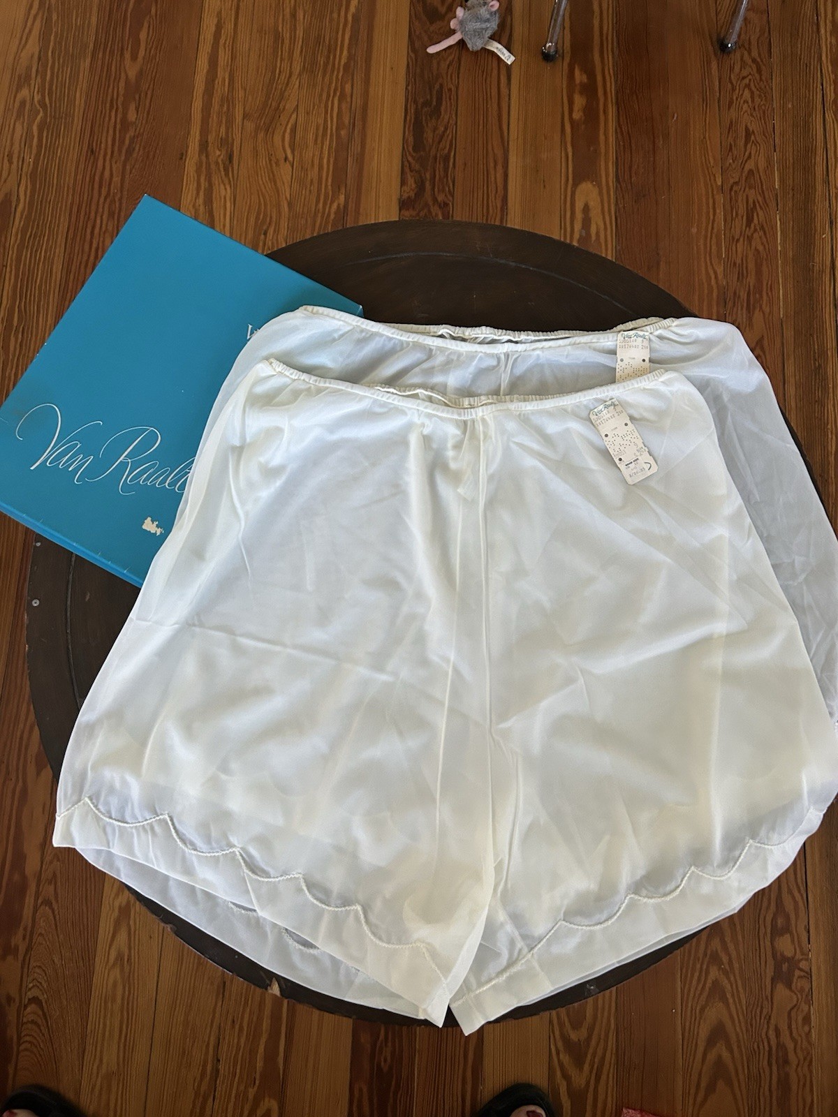 Vintage Van Raalte 2 Pair Sheer Nylon Trunk Panties In Box XL?