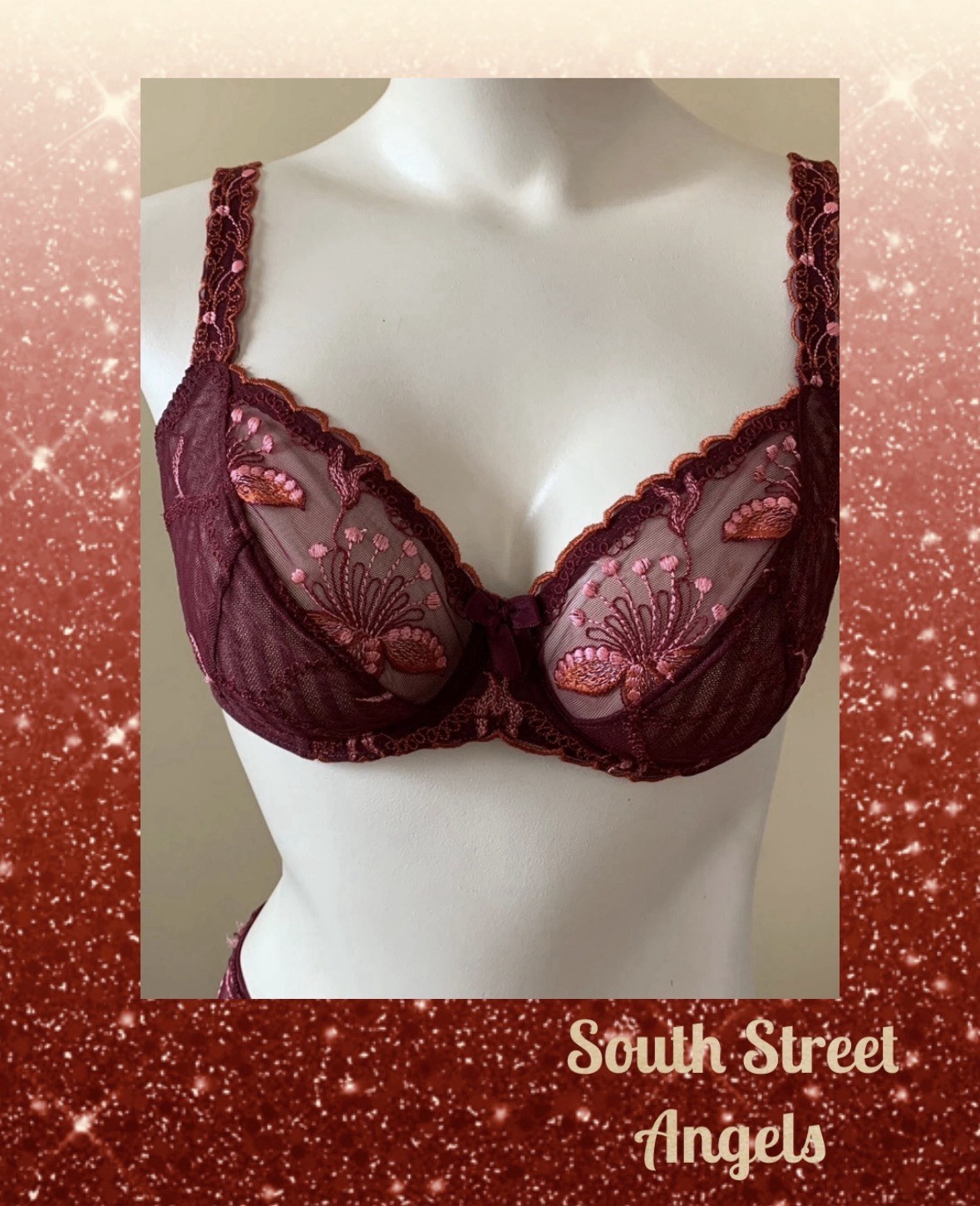 VINTAGE SIMONE PERELE ~ MERLOT EMBROIDERED FLORENCE UNDERWIRE BRA ~ SIZE 34C