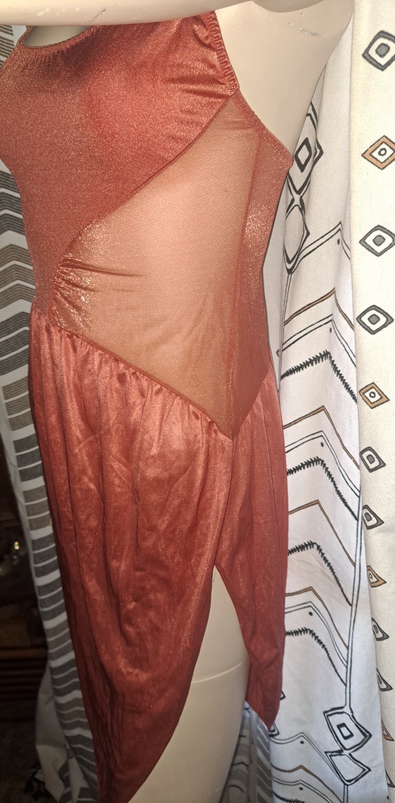 Vtg Vassarette Sheer Beginning Gown Dress 36 Coral Orange 70s Ballerinacore