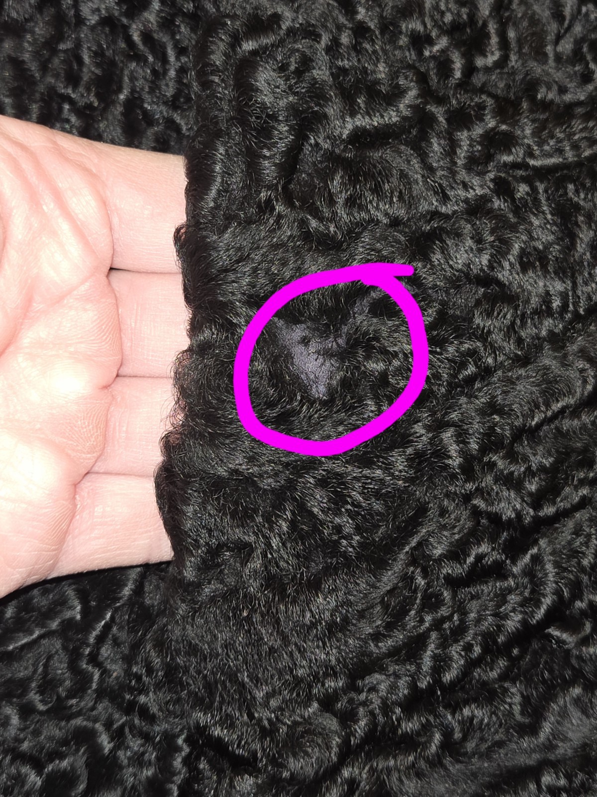 RARE Vintage Women’s Ukhara Karakul USSR Black Persian Lamb Fur Coat Small
